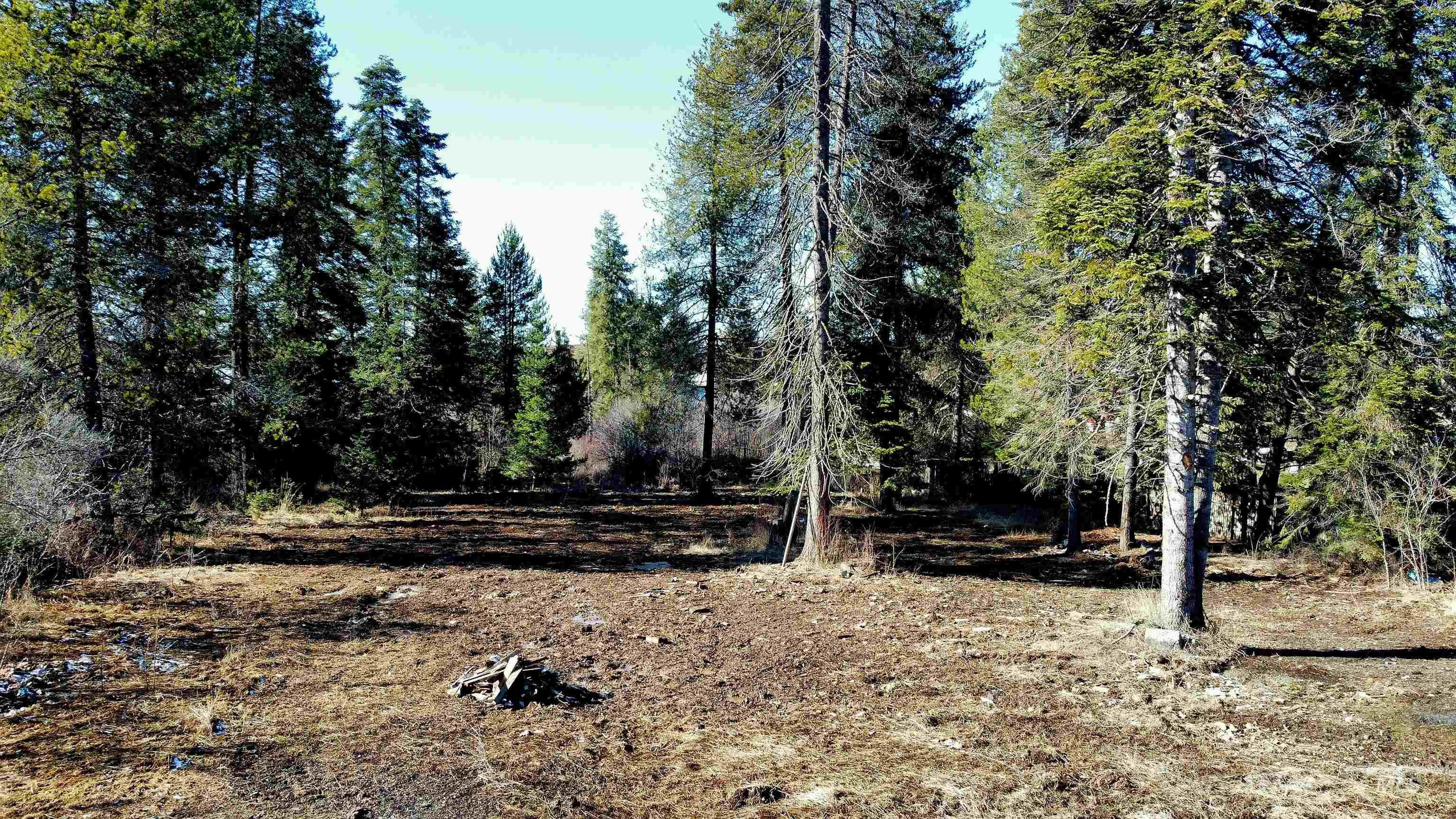 92 Roueau Loop, Weippe, Idaho 83531, Land For Sale, Price $65,000,MLS 98975326