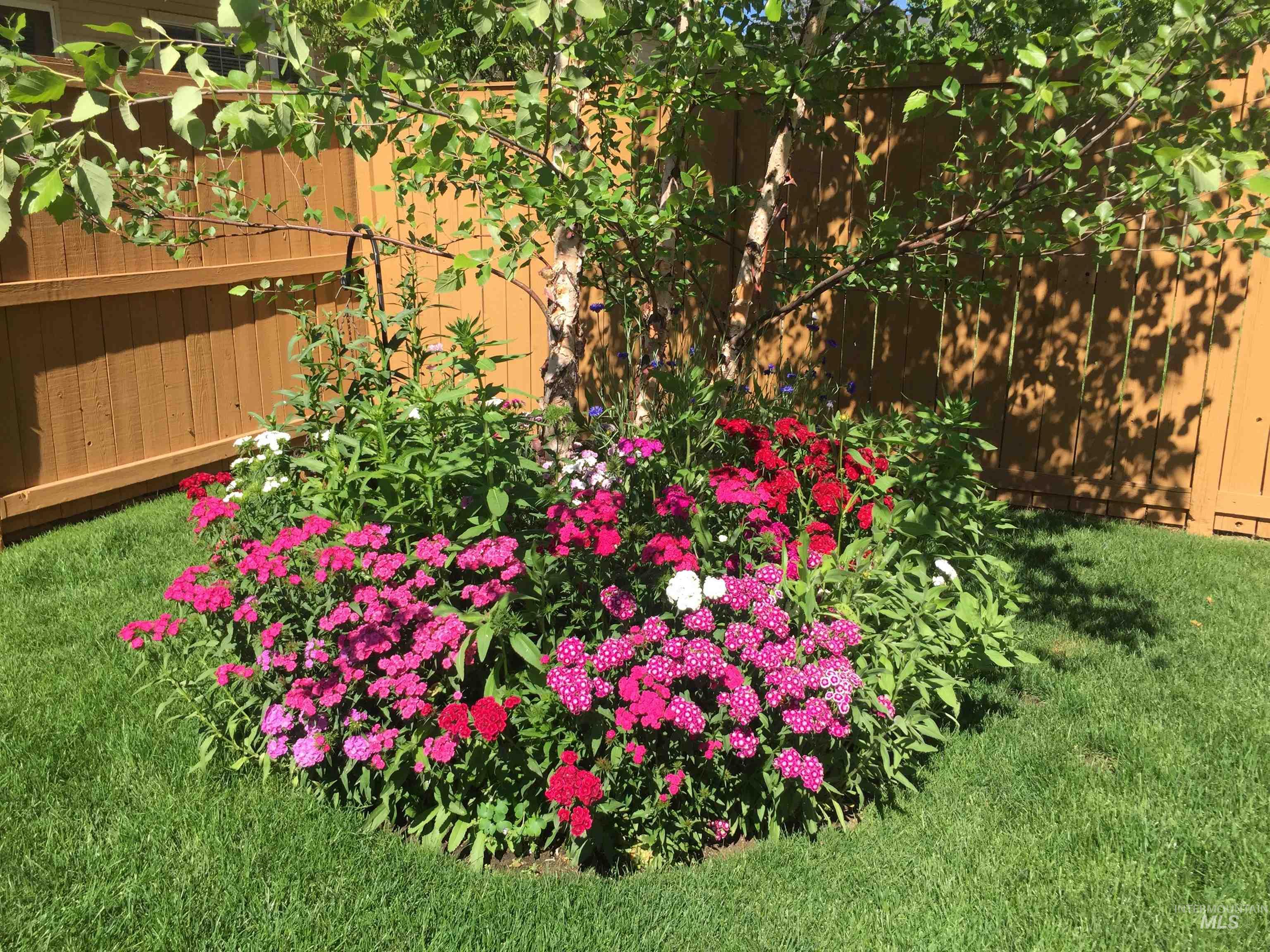 2244 E Greiner St, Meridian, Idaho 83642, 3 Bedrooms, 2.5 Bathrooms, Residential For Sale, Price $589,900,MLS 98975398