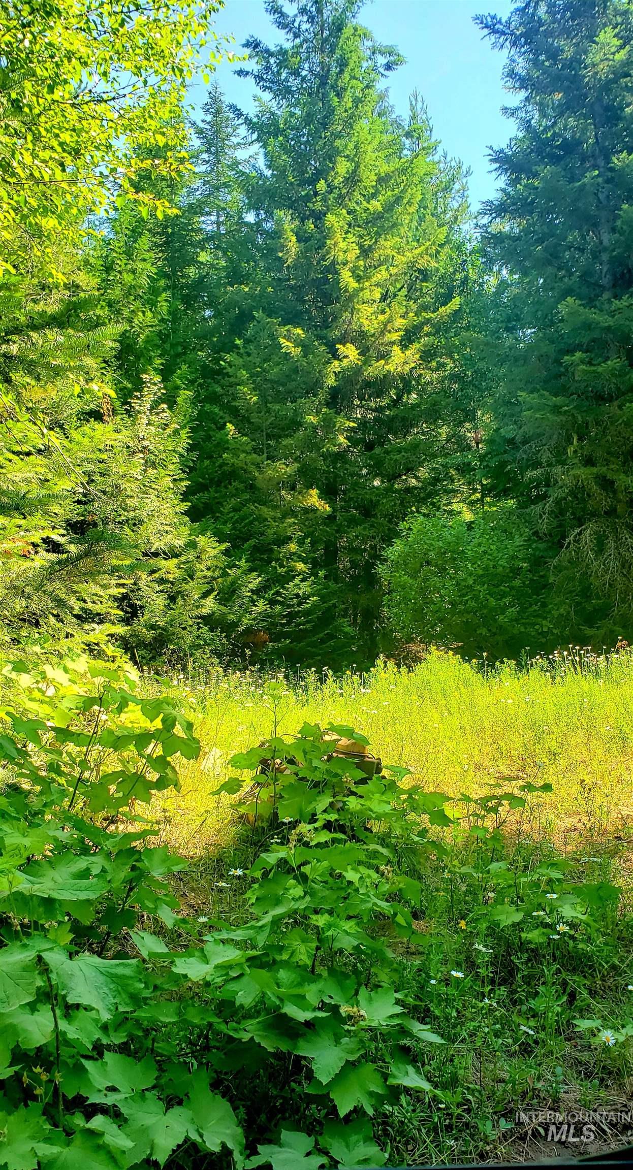 80 E Ridge Dr., St. Maries, Idaho 83861, Land For Sale, Price $69,000,MLS 98975413