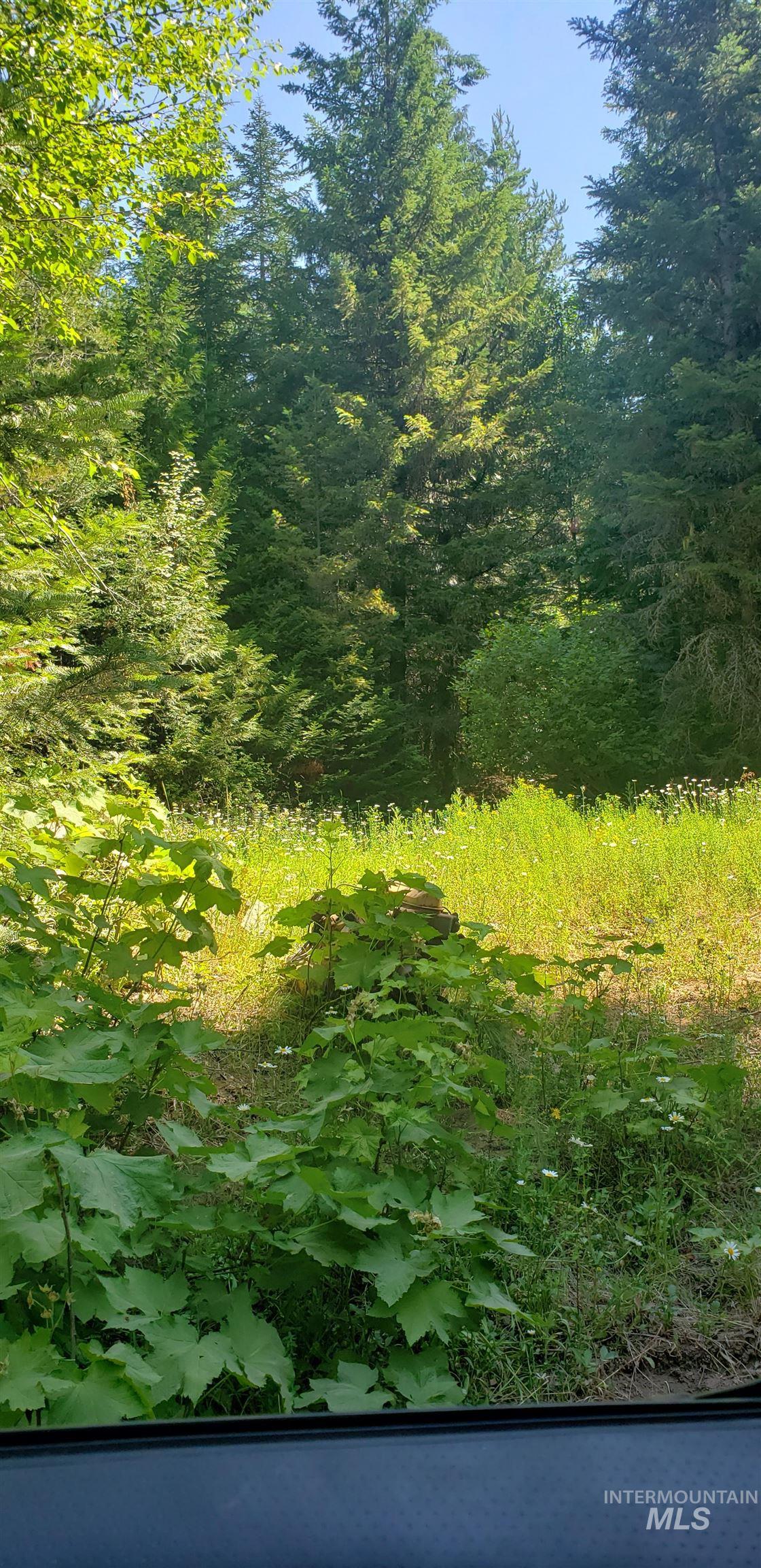 80 E Ridge Dr., St. Maries, Idaho 83861, Land For Sale, Price $69,000,MLS 98975413