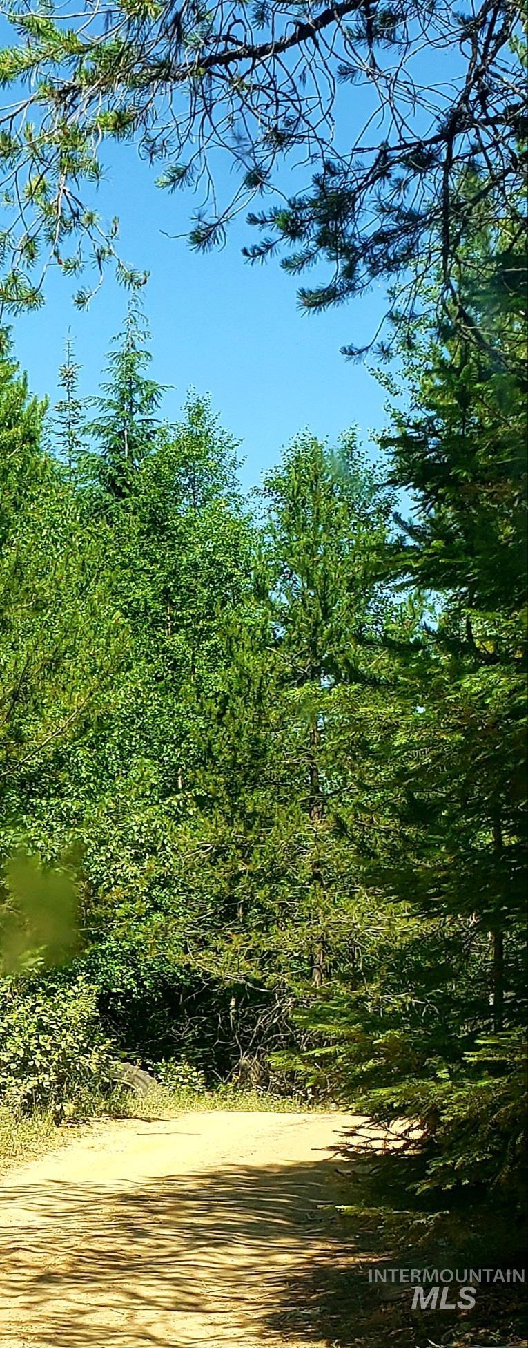 80 E Ridge Dr., St. Maries, Idaho 83861, Land For Sale, Price $69,000,MLS 98975413