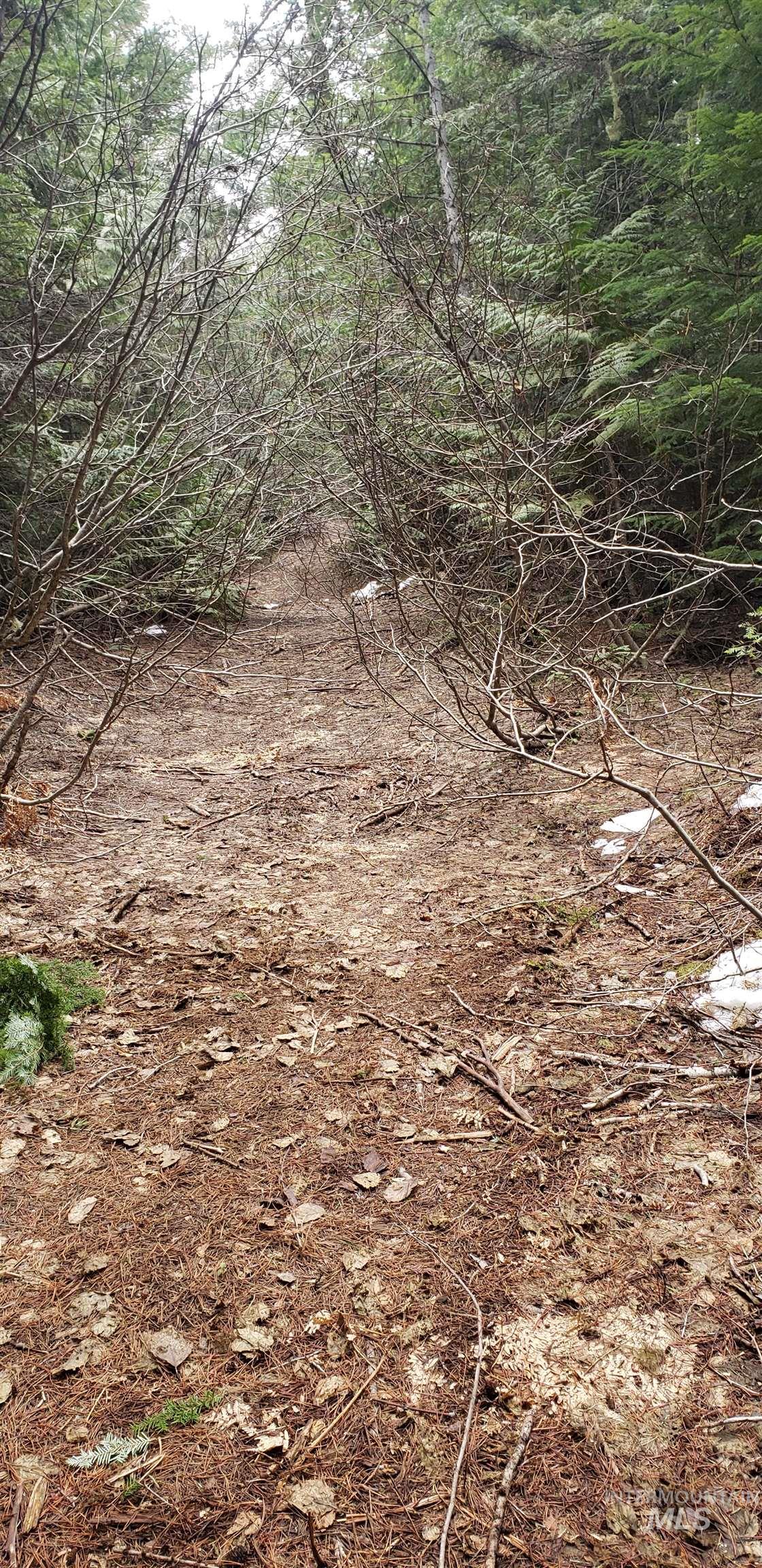 80 E Ridge Dr., St. Maries, Idaho 83861, Land For Sale, Price $69,000,MLS 98975413