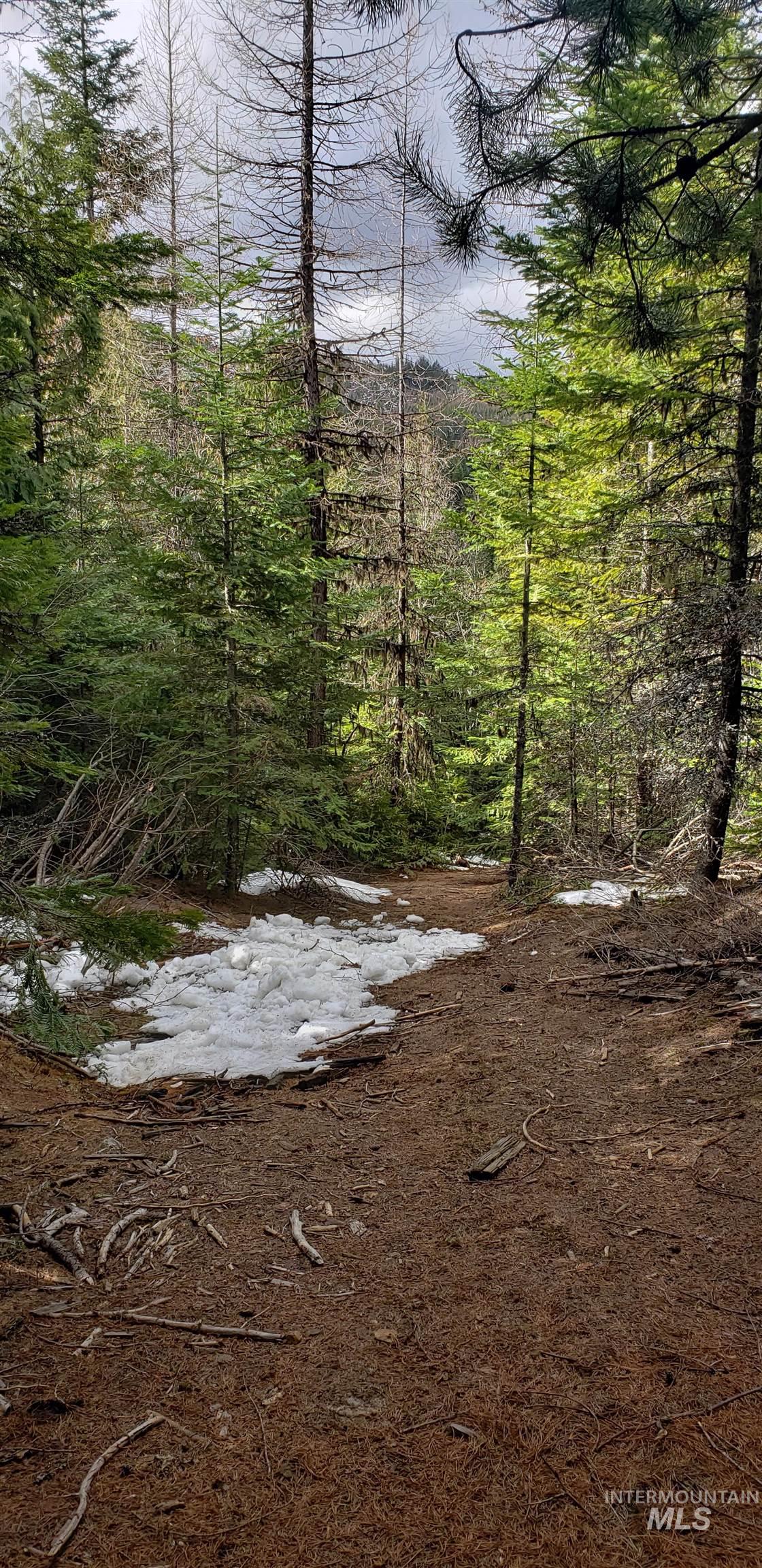 80 E Ridge Dr., St. Maries, Idaho 83861, Land For Sale, Price $69,000,MLS 98975413