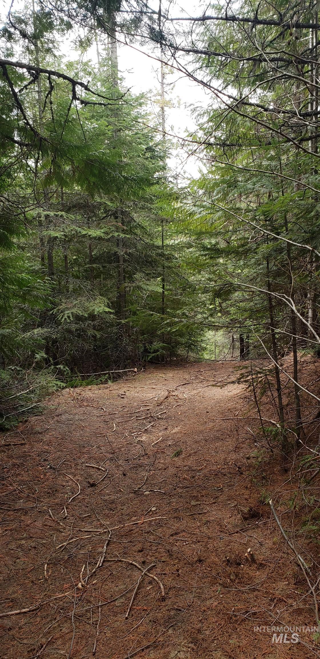 80 E Ridge Dr., St. Maries, Idaho 83861, Land For Sale, Price $69,000,MLS 98975413