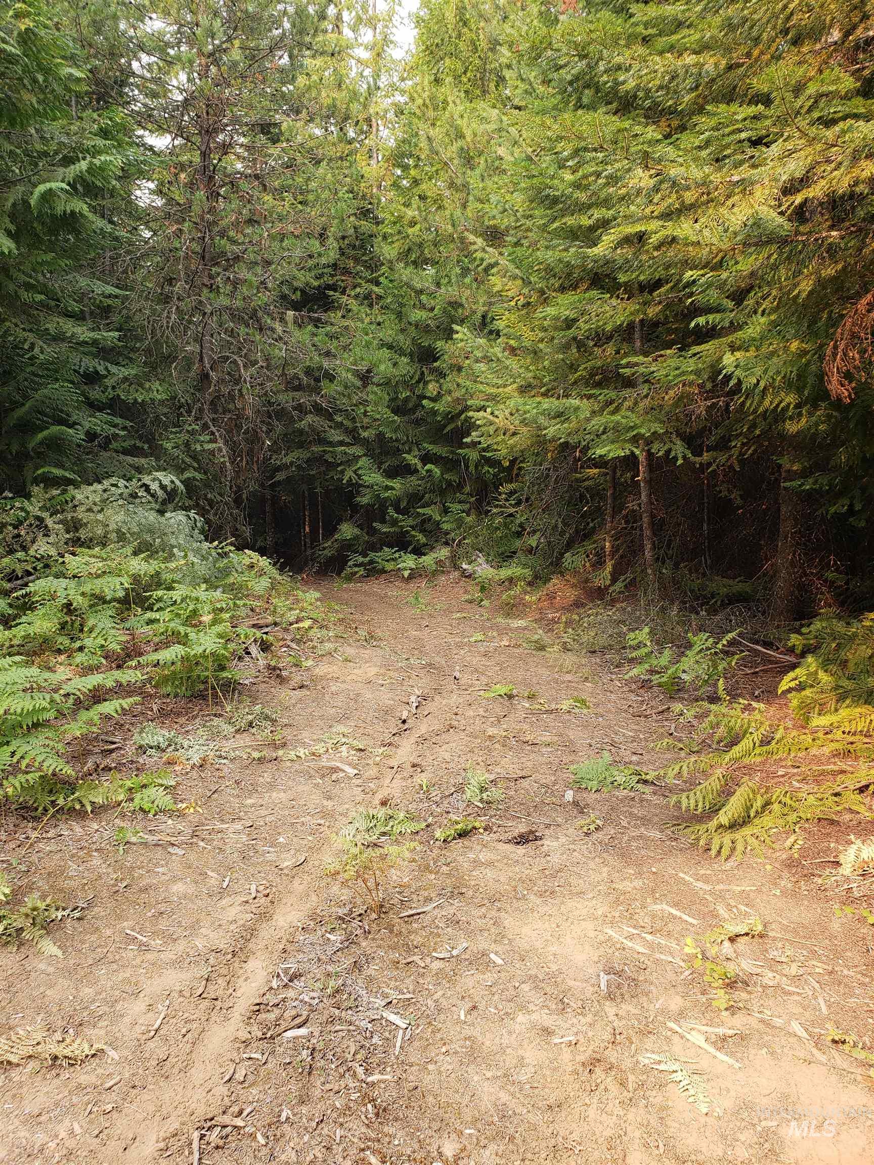 80 E Ridge Dr., St. Maries, Idaho 83861, Land For Sale, Price $69,000,MLS 98975413