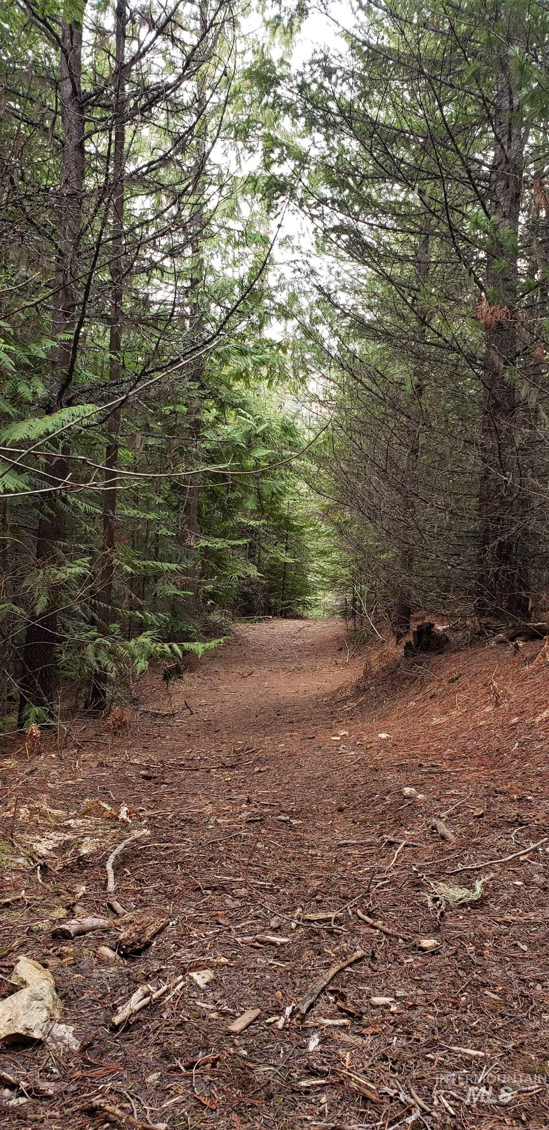 80 E Ridge Dr., St. Maries, Idaho 83861, Land For Sale, Price $69,000,MLS 98975413