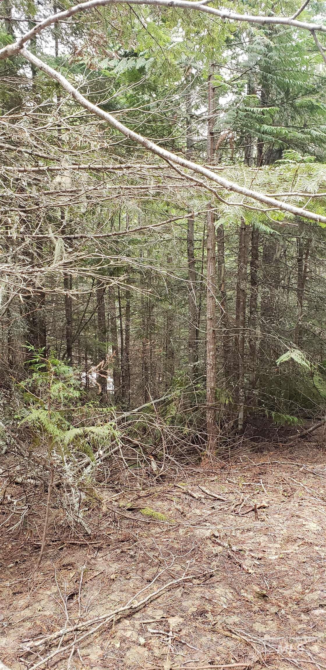 80 E Ridge Dr., St. Maries, Idaho 83861, Land For Sale, Price $69,000,MLS 98975413