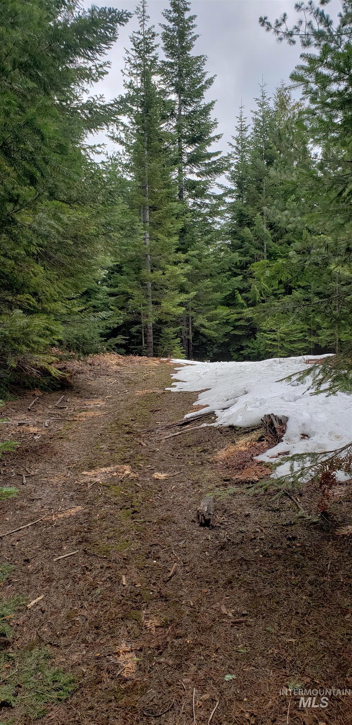 80 E Ridge Dr., St. Maries, Idaho 83861, Land For Sale, Price $69,000,MLS 98975413