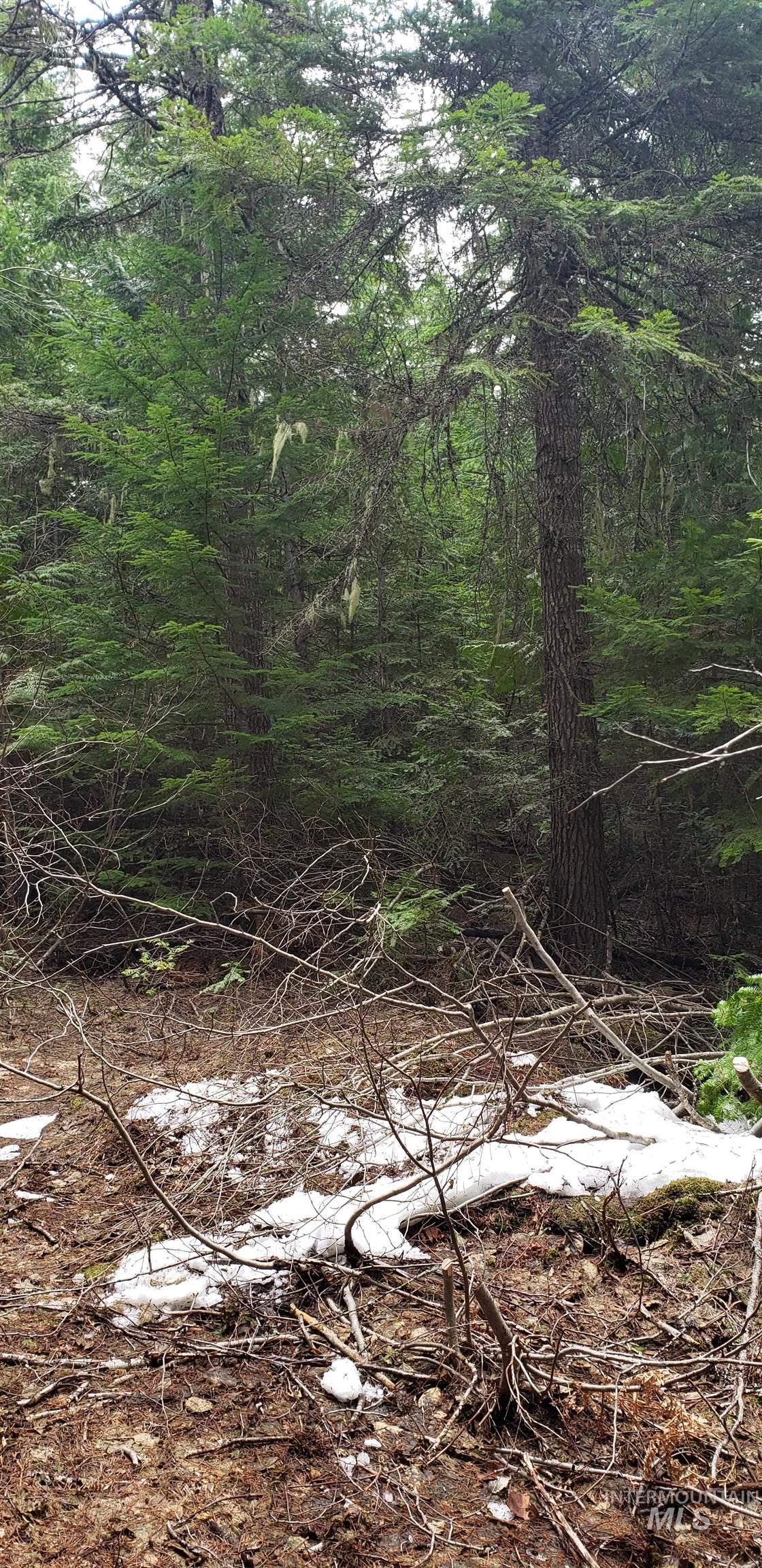 80 E Ridge Dr., St. Maries, Idaho 83861, Land For Sale, Price $69,000,MLS 98975413