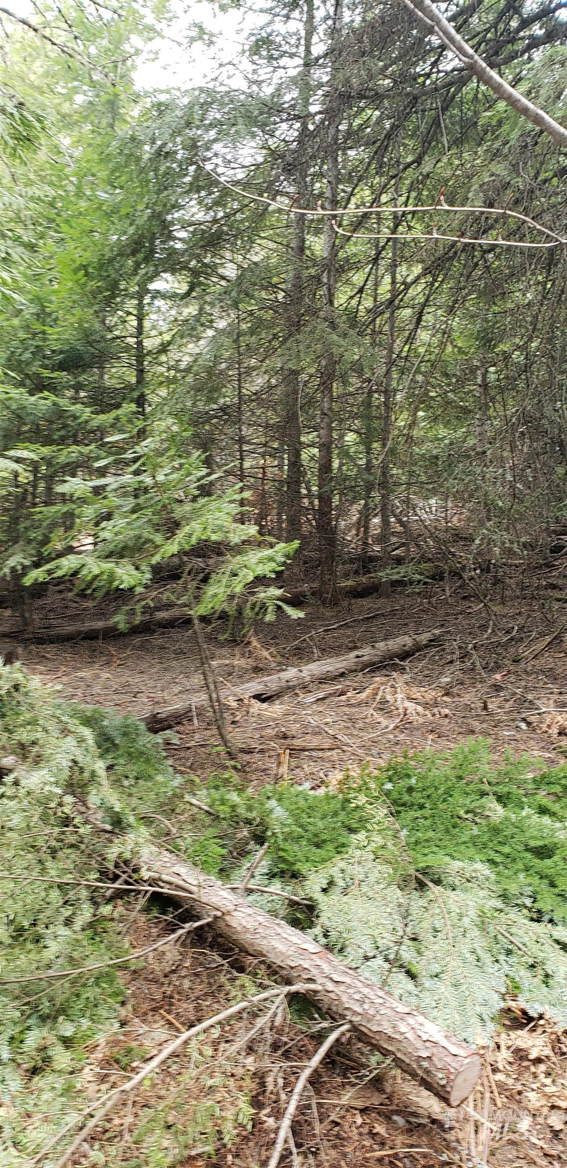 80 E Ridge Dr., St. Maries, Idaho 83861, Land For Sale, Price $69,000,MLS 98975413