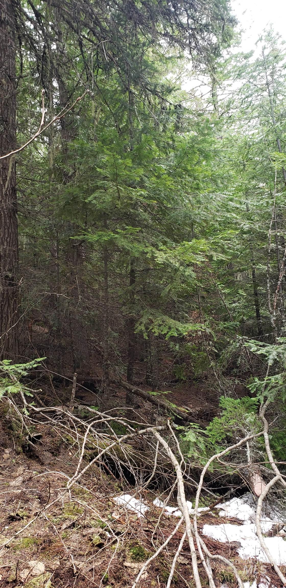 80 E Ridge Dr., St. Maries, Idaho 83861, Land For Sale, Price $69,000,MLS 98975413