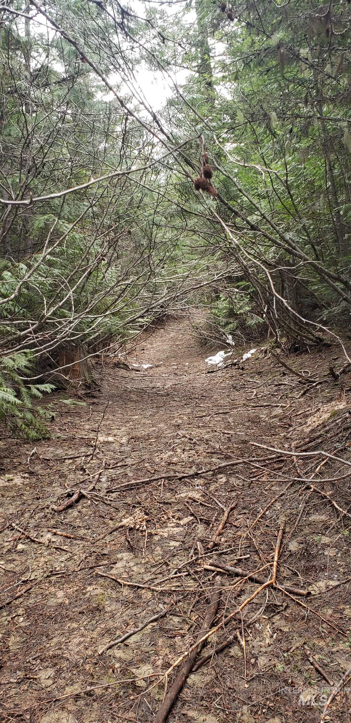 80 E Ridge Dr., St. Maries, Idaho 83861, Land For Sale, Price $69,000,MLS 98975413