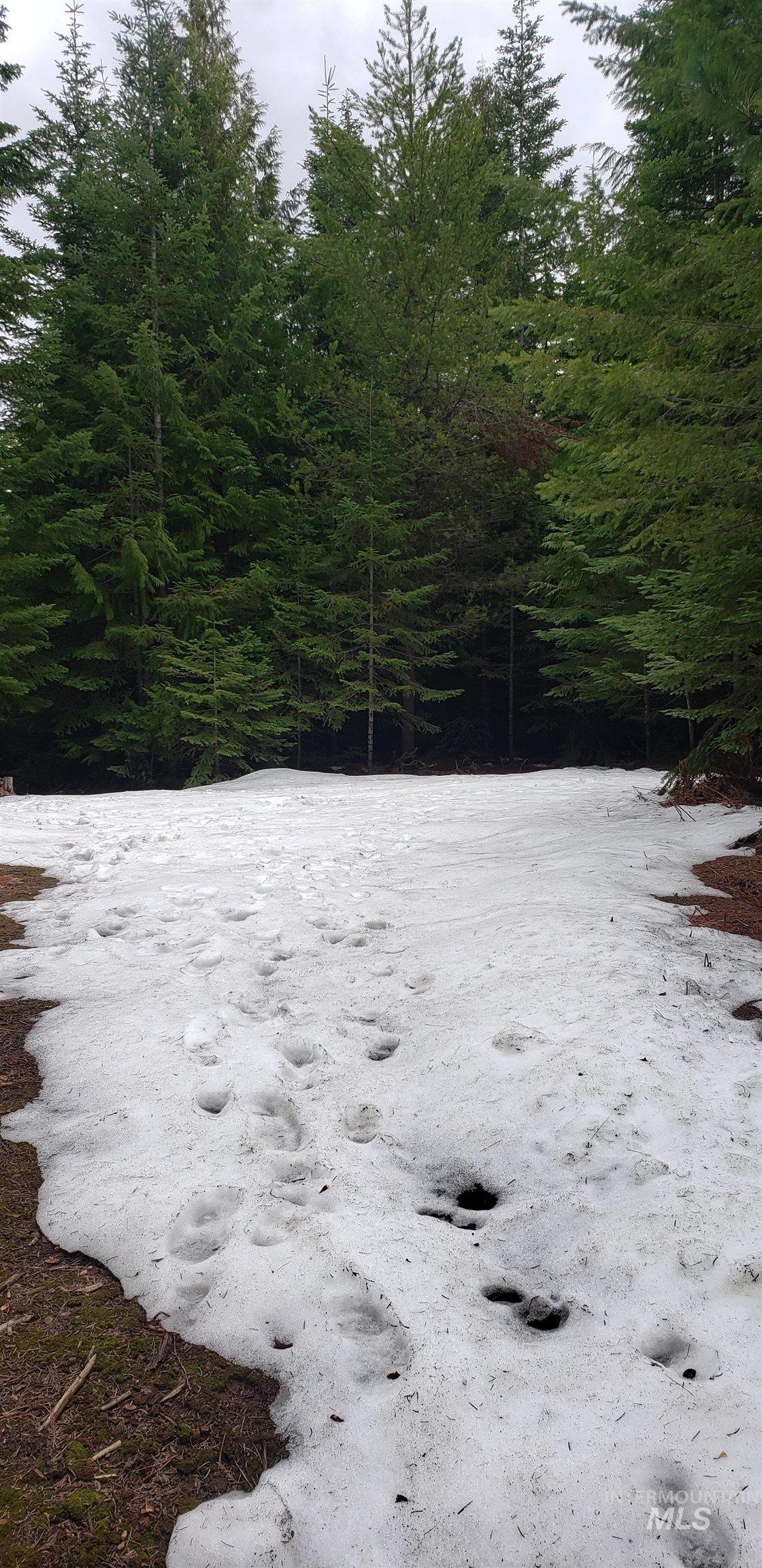 80 E Ridge Dr., St. Maries, Idaho 83861, Land For Sale, Price $69,000,MLS 98975413