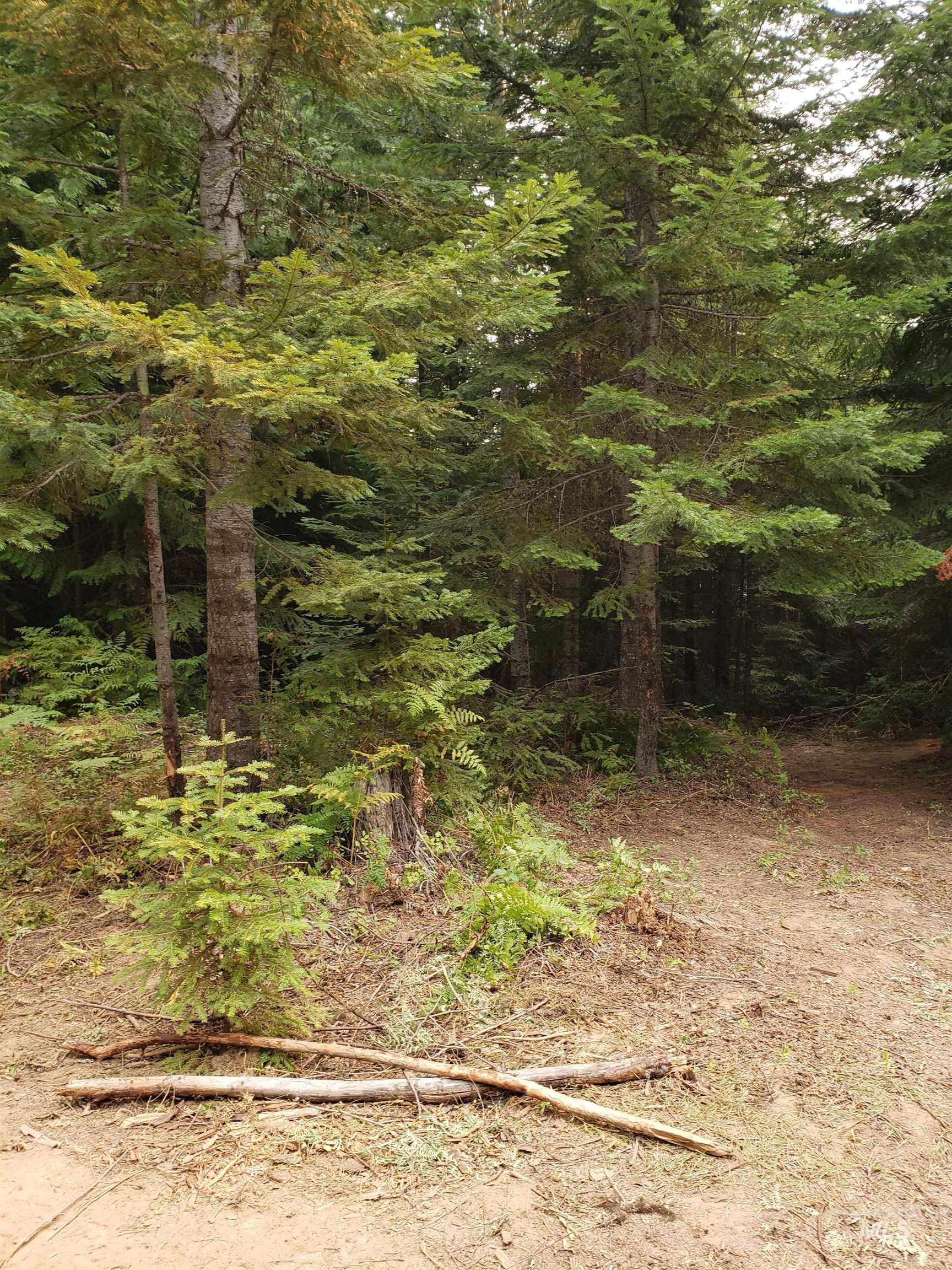 80 E Ridge Dr., St. Maries, Idaho 83861, Land For Sale, Price $69,000,MLS 98975413