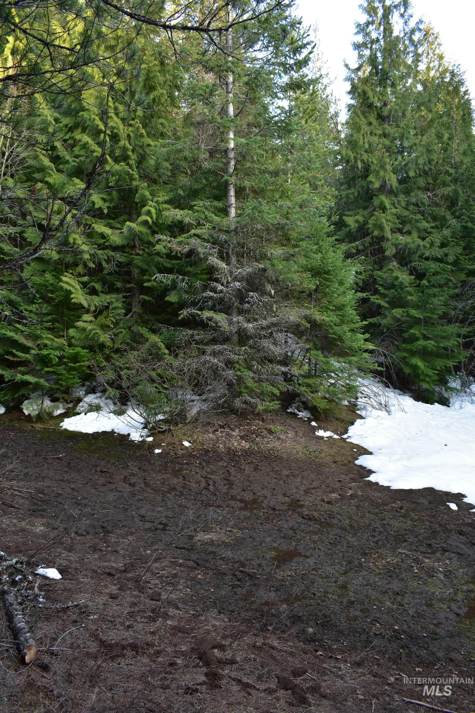 80 E Ridge Dr., St. Maries, Idaho 83861, Land For Sale, Price $69,000,MLS 98975413