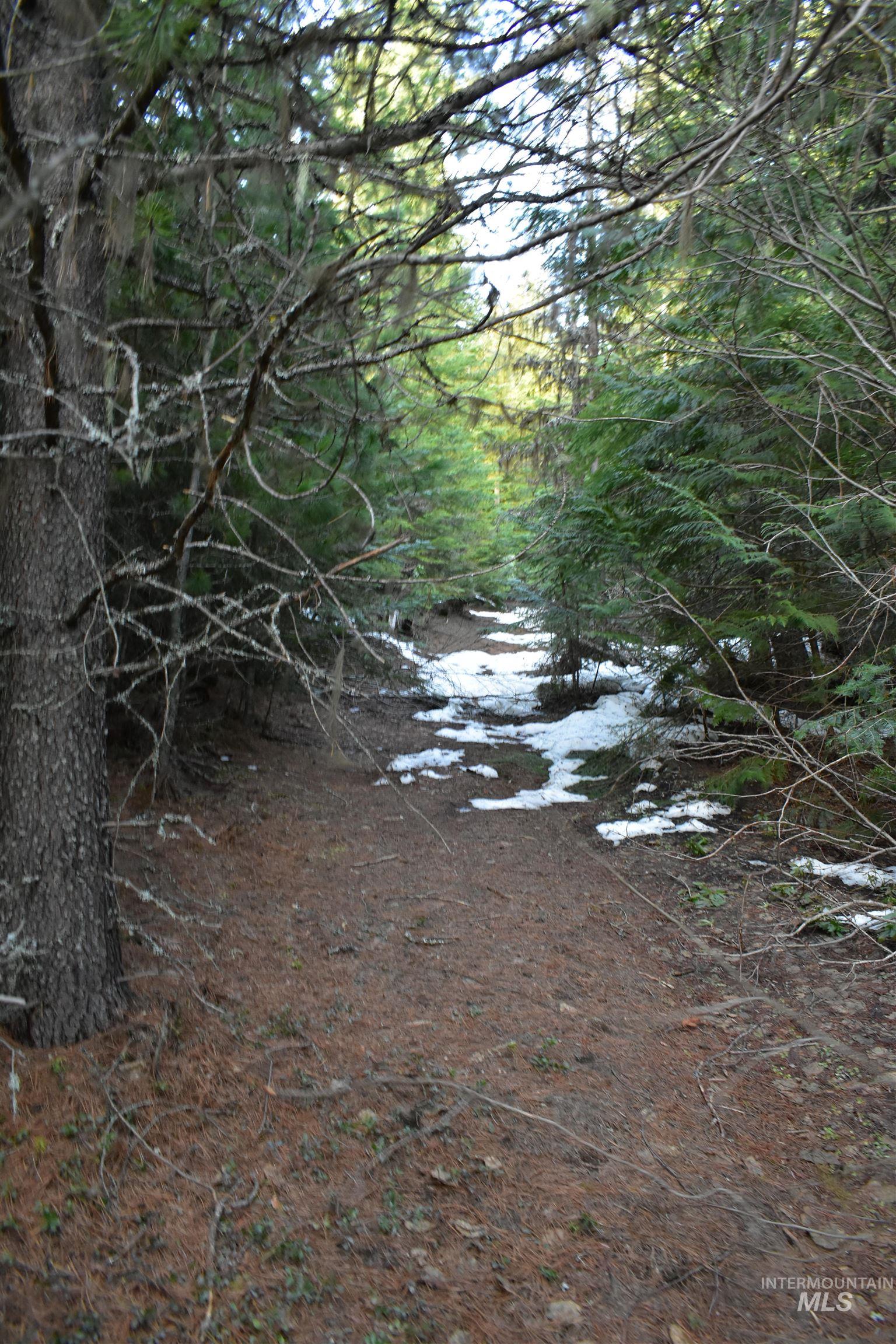 80 E Ridge Dr., St. Maries, Idaho 83861, Land For Sale, Price $69,000,MLS 98975413