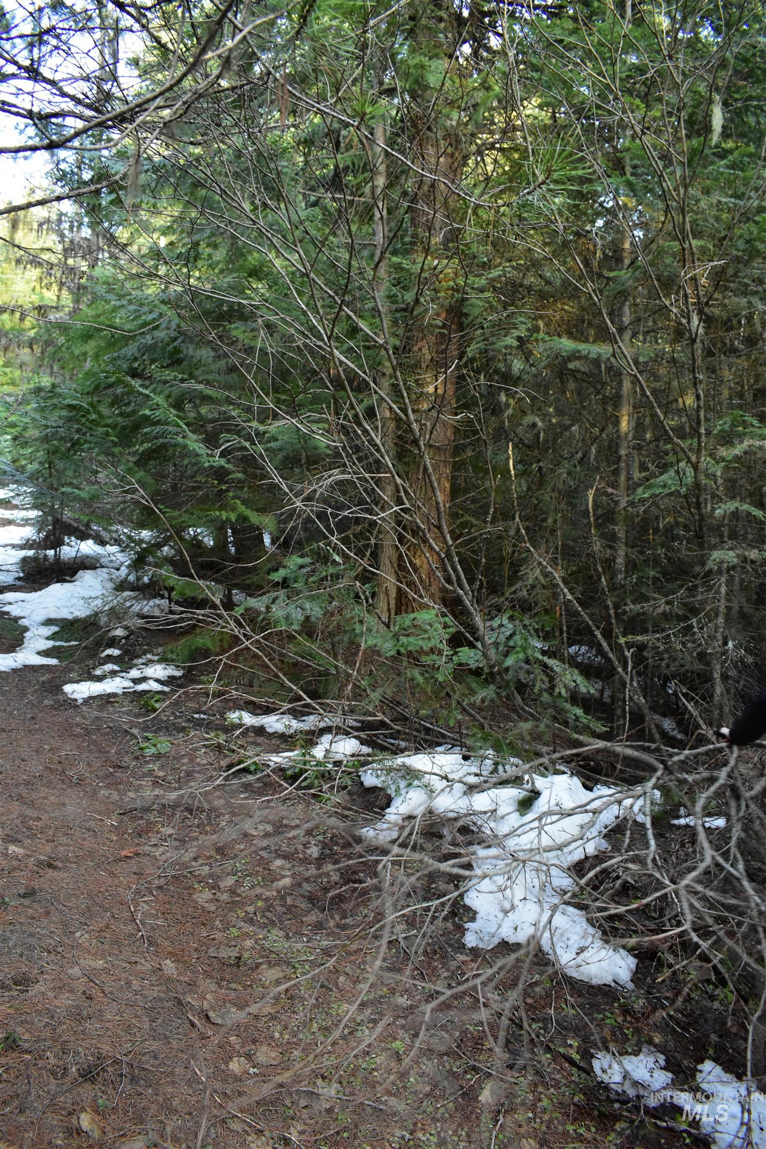 80 E Ridge Dr., St. Maries, Idaho 83861, Land For Sale, Price $69,000,MLS 98975413