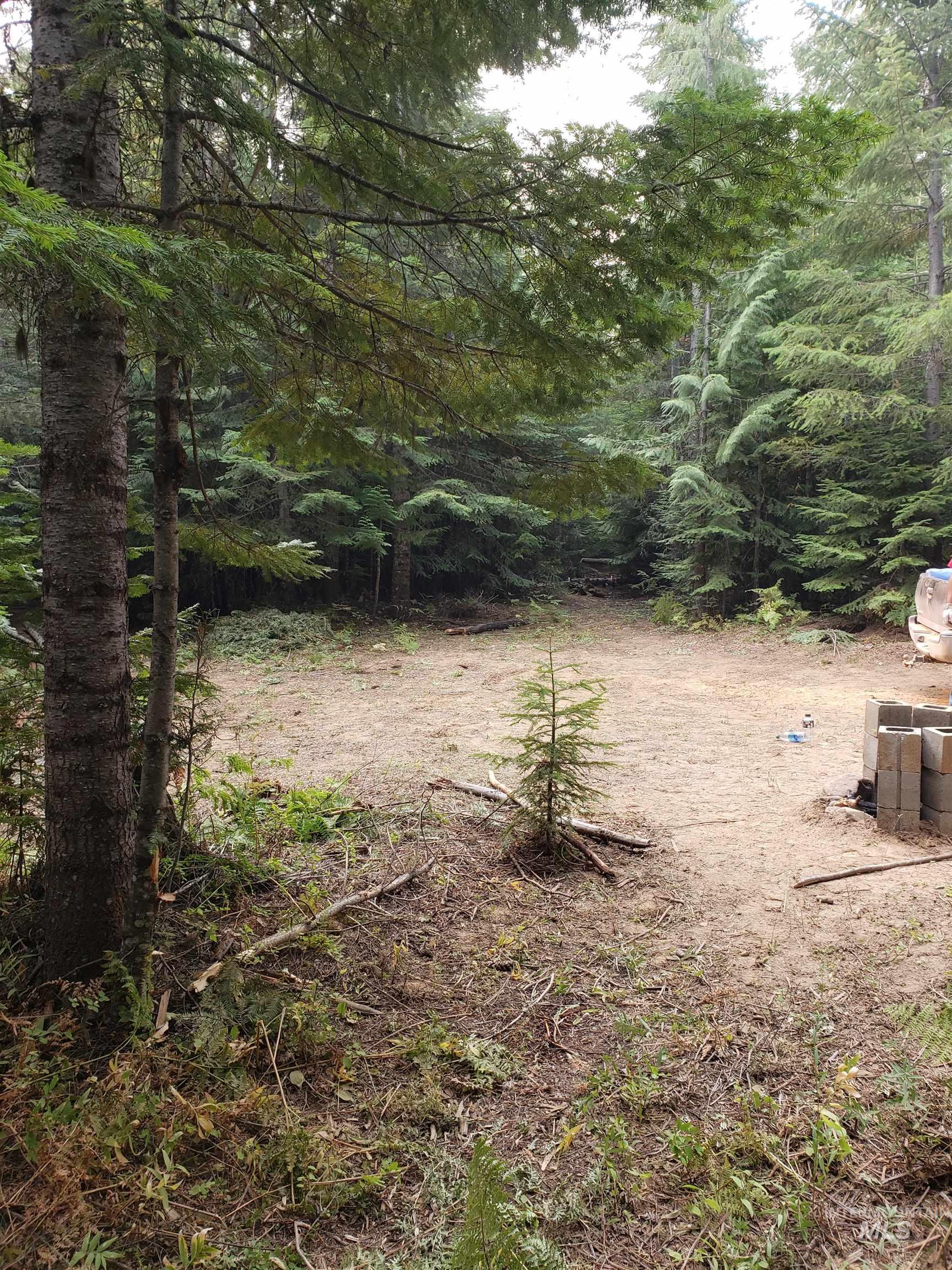 80 E Ridge Dr., St. Maries, Idaho 83861, Land For Sale, Price $69,000,MLS 98975413