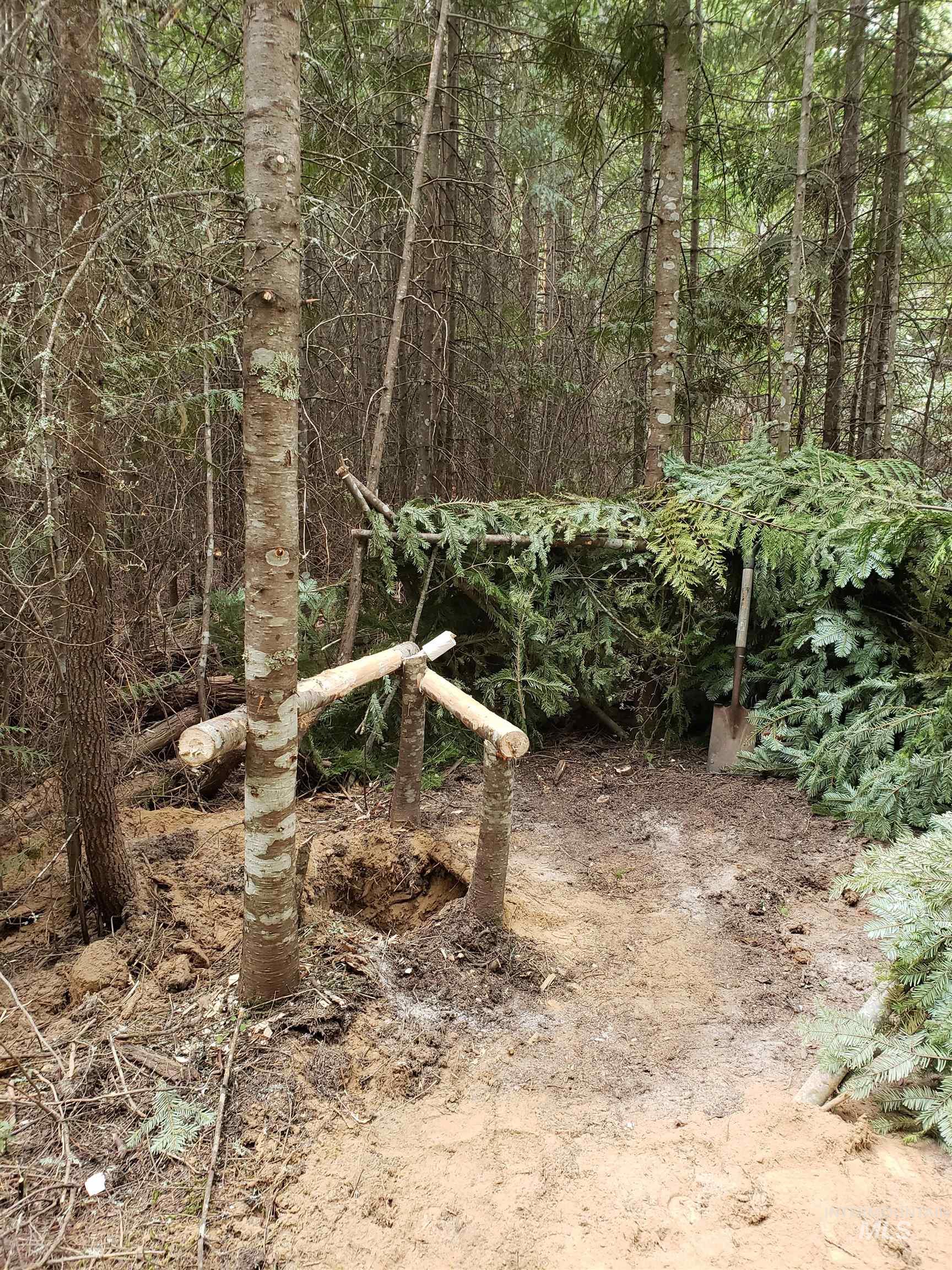 80 E Ridge Dr., St. Maries, Idaho 83861, Land For Sale, Price $69,000,MLS 98975413