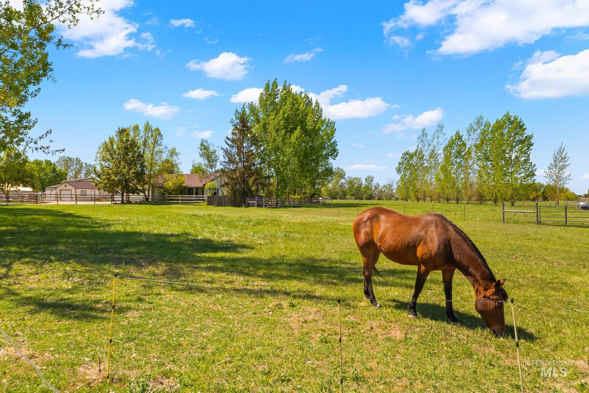 1401 Crane Ln, Kuna, Idaho 83634, 3 Bedrooms, 2.5 Bathrooms, Residential For Sale, Price $1,225,000,MLS 98975427