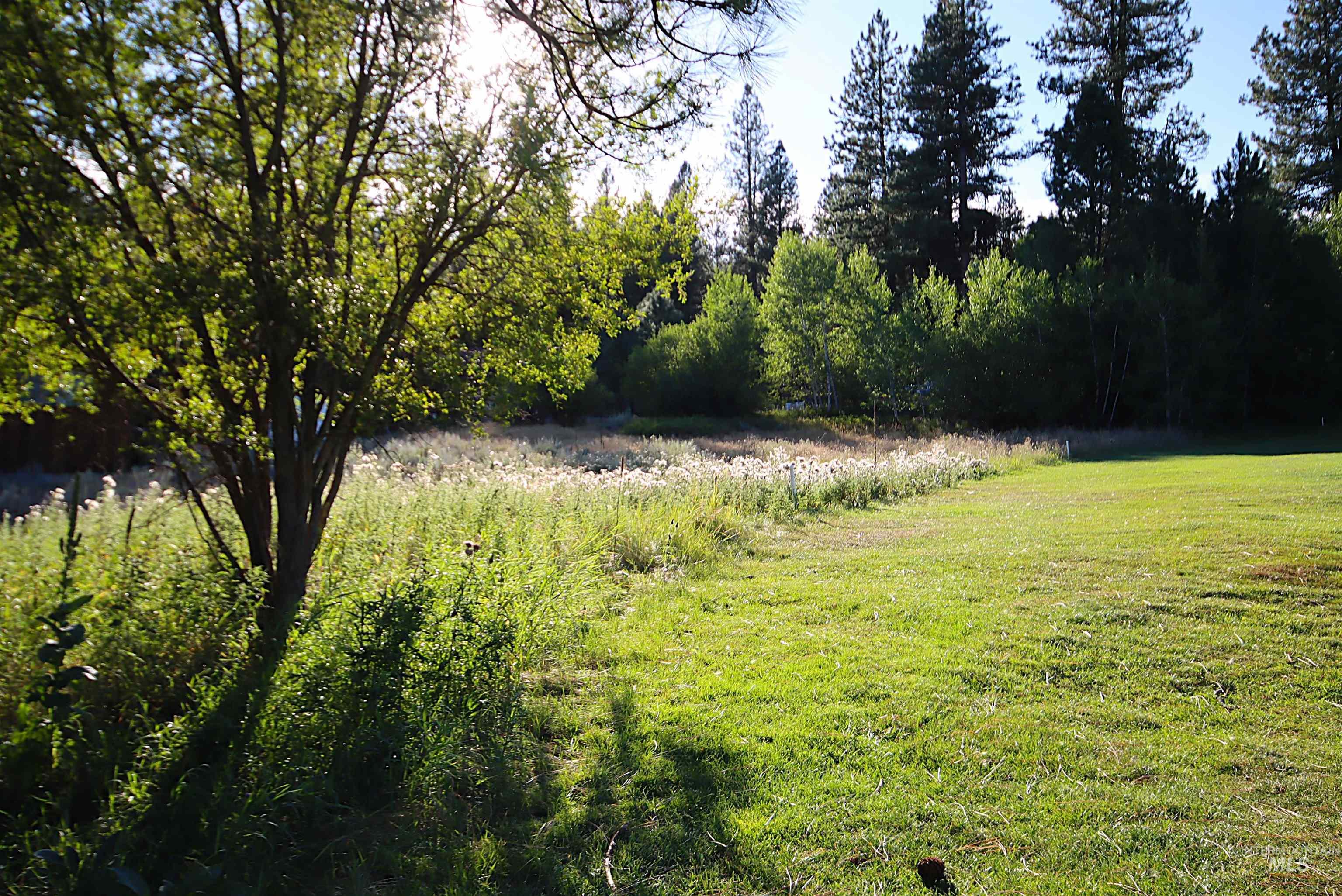 L4 Ponderosa Court, New Meadows, Idaho 83654, Land For Sale, Price $125,000,MLS 98975436