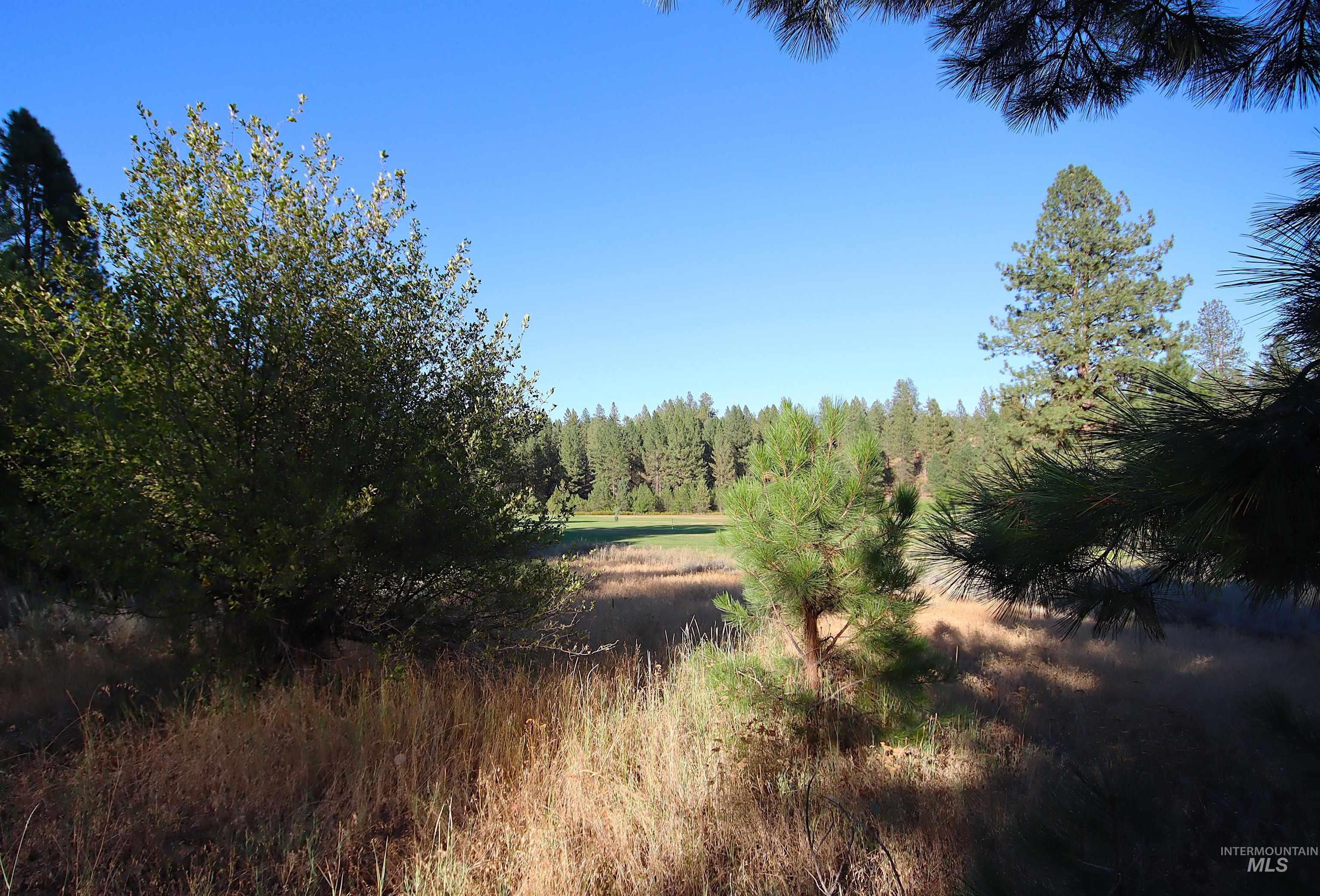 L4 Ponderosa Court, New Meadows, Idaho 83654, Land For Sale, Price $125,000,MLS 98975436