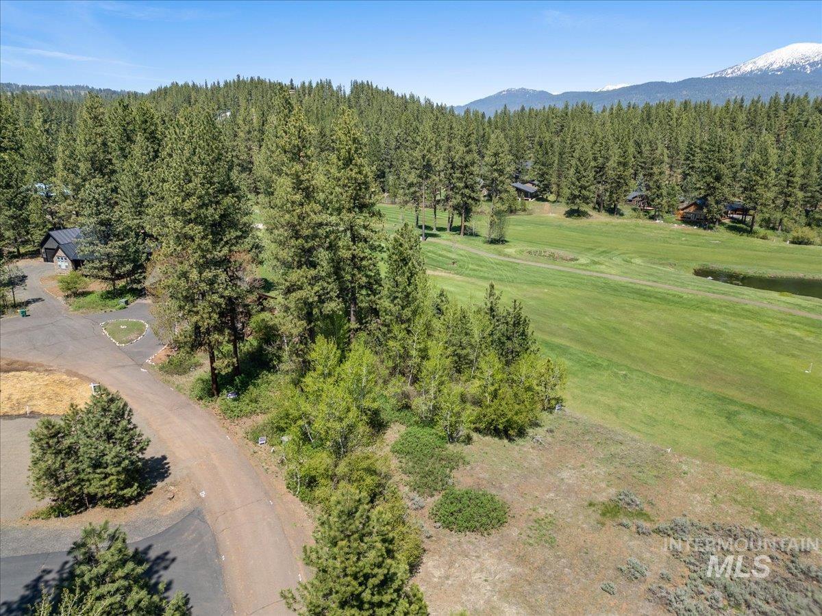L4 Ponderosa Court, New Meadows, Idaho 83654, Land For Sale, Price $125,000,MLS 98975436