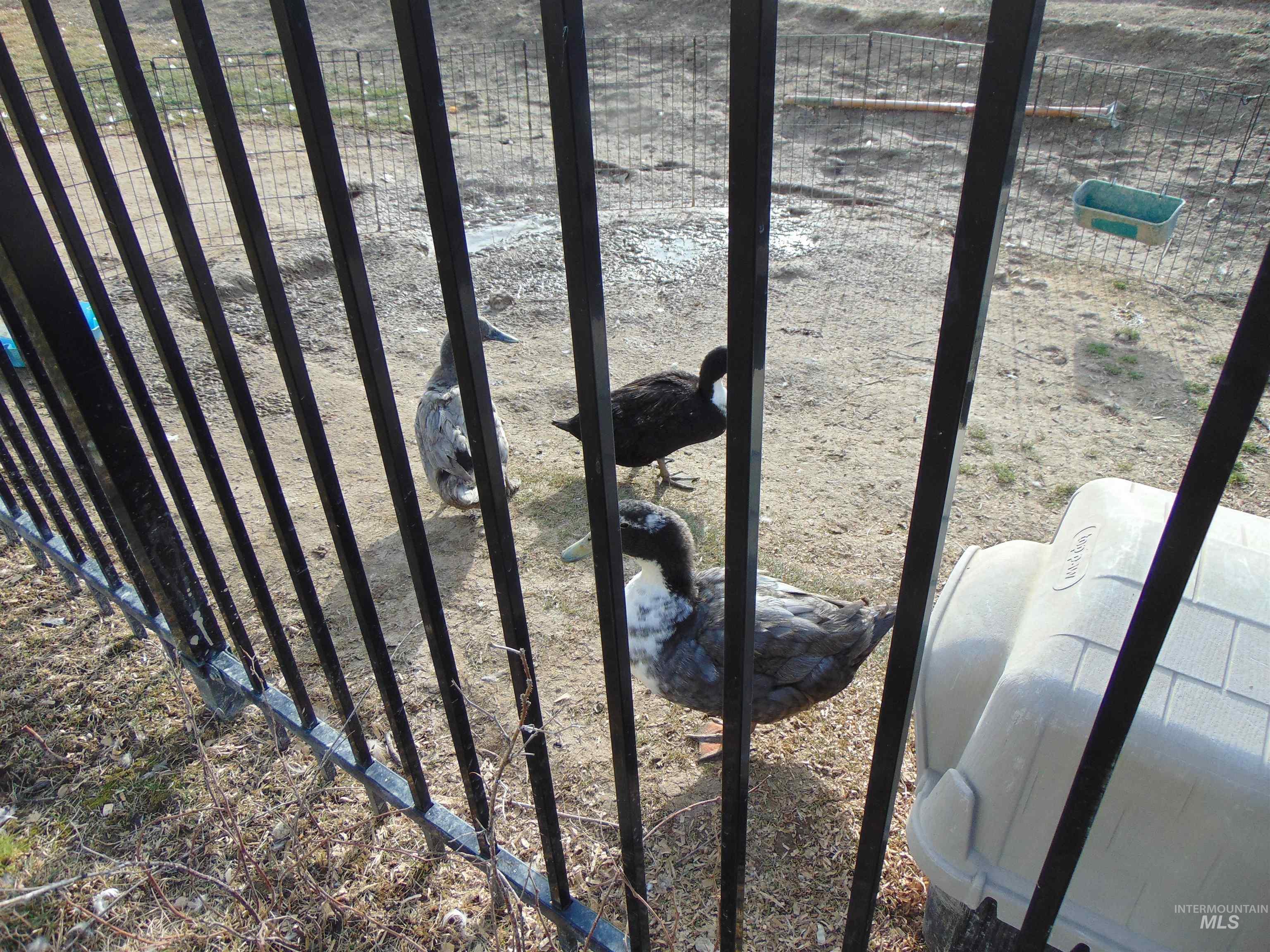 16915 Chambers Way, Caldwell, Idaho 83607, 4 Bedrooms, 2.5 Bathrooms, Residential For Sale, Price $439,900, 98975441