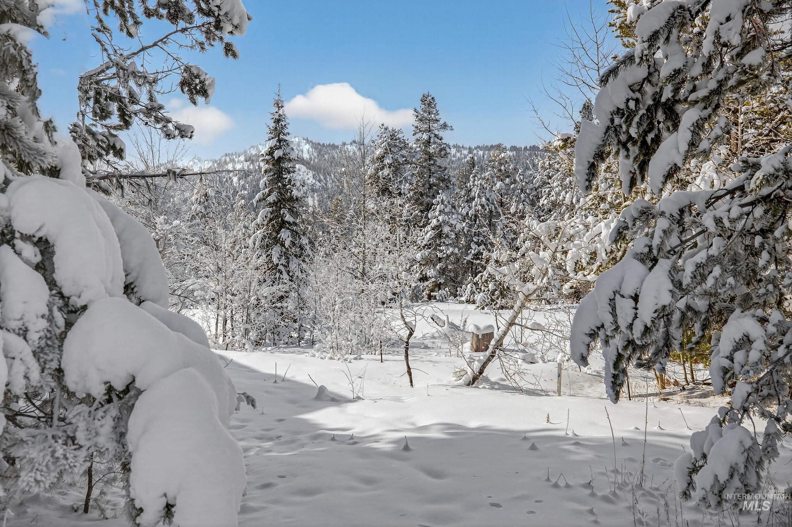 12 Herons Nest Ct, Donnelly, Idaho 83615, Land For Sale, Price $204,900,MLS 98975575