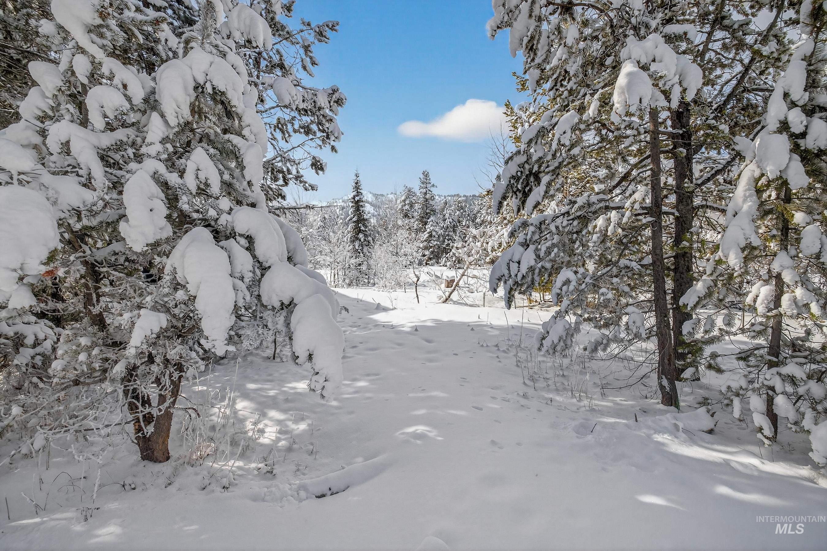 12 Herons Nest Ct, Donnelly, Idaho 83615, Land For Sale, Price $204,900,MLS 98975575