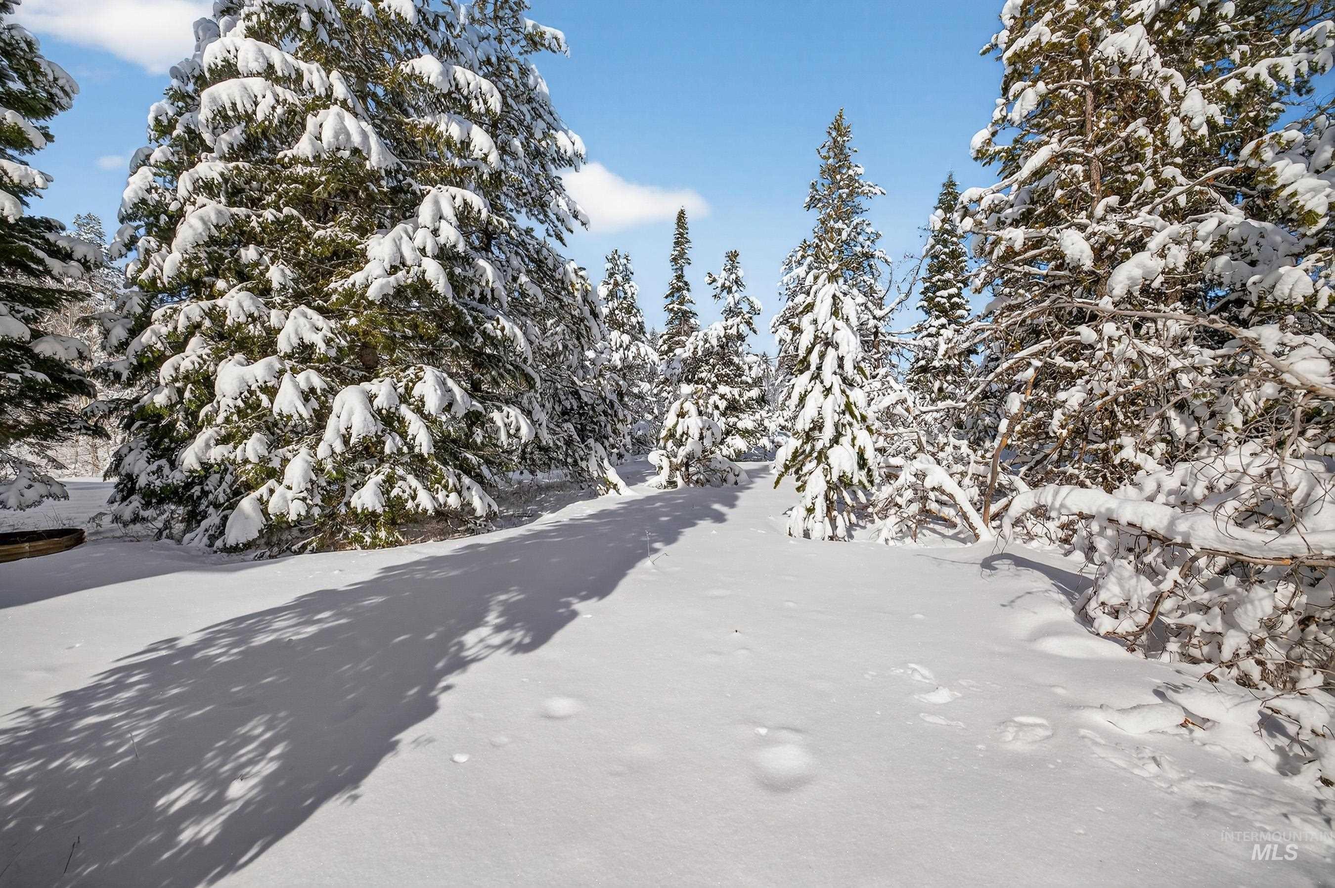 12 Herons Nest Ct, Donnelly, Idaho 83615, Land For Sale, Price $204,900,MLS 98975575