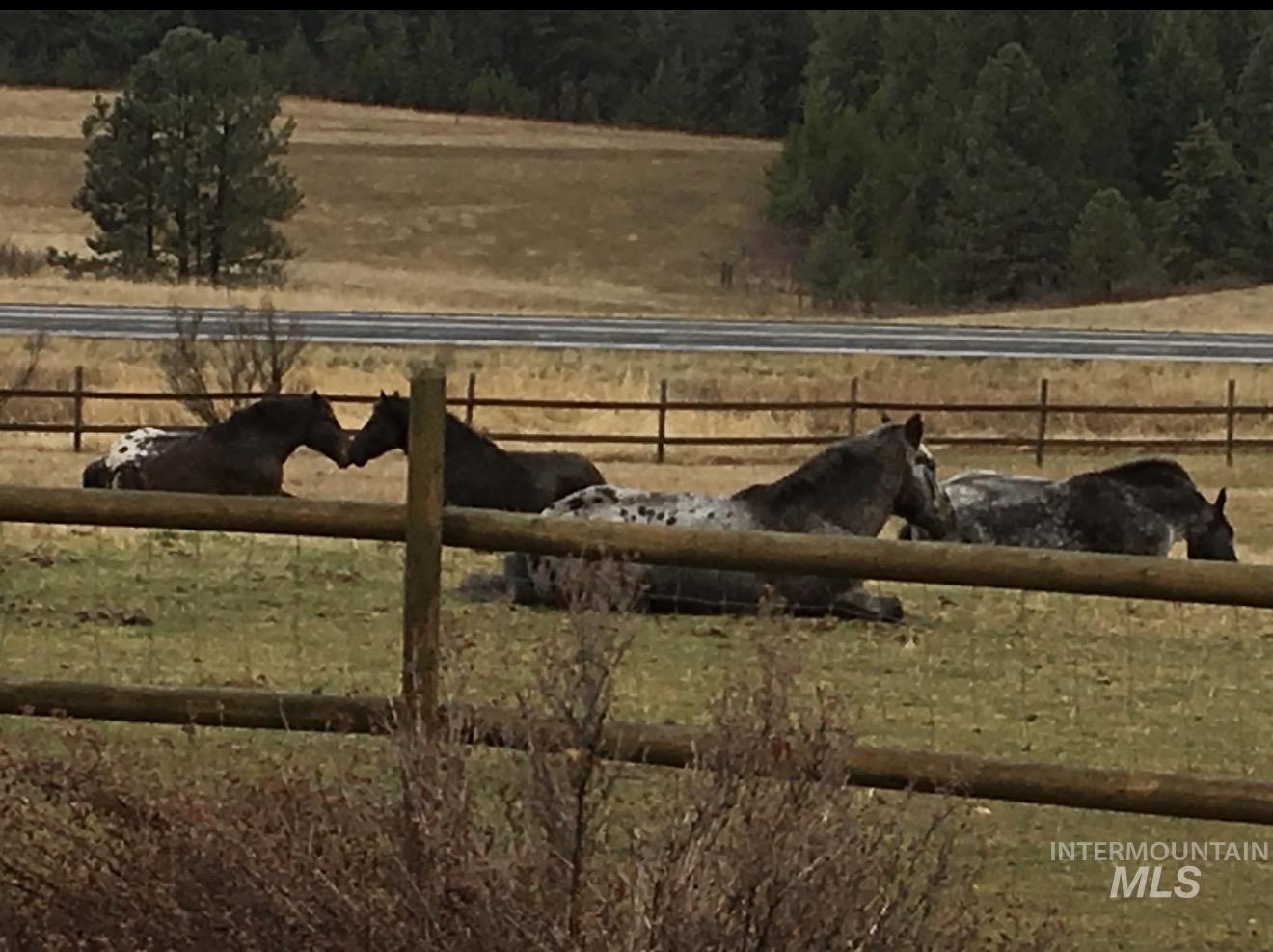 4370 Hwy 8, Troy, Idaho 83871, 3 Bedrooms, 2 Bathrooms, Residential For Sale, Price $769,000,MLS 98975598