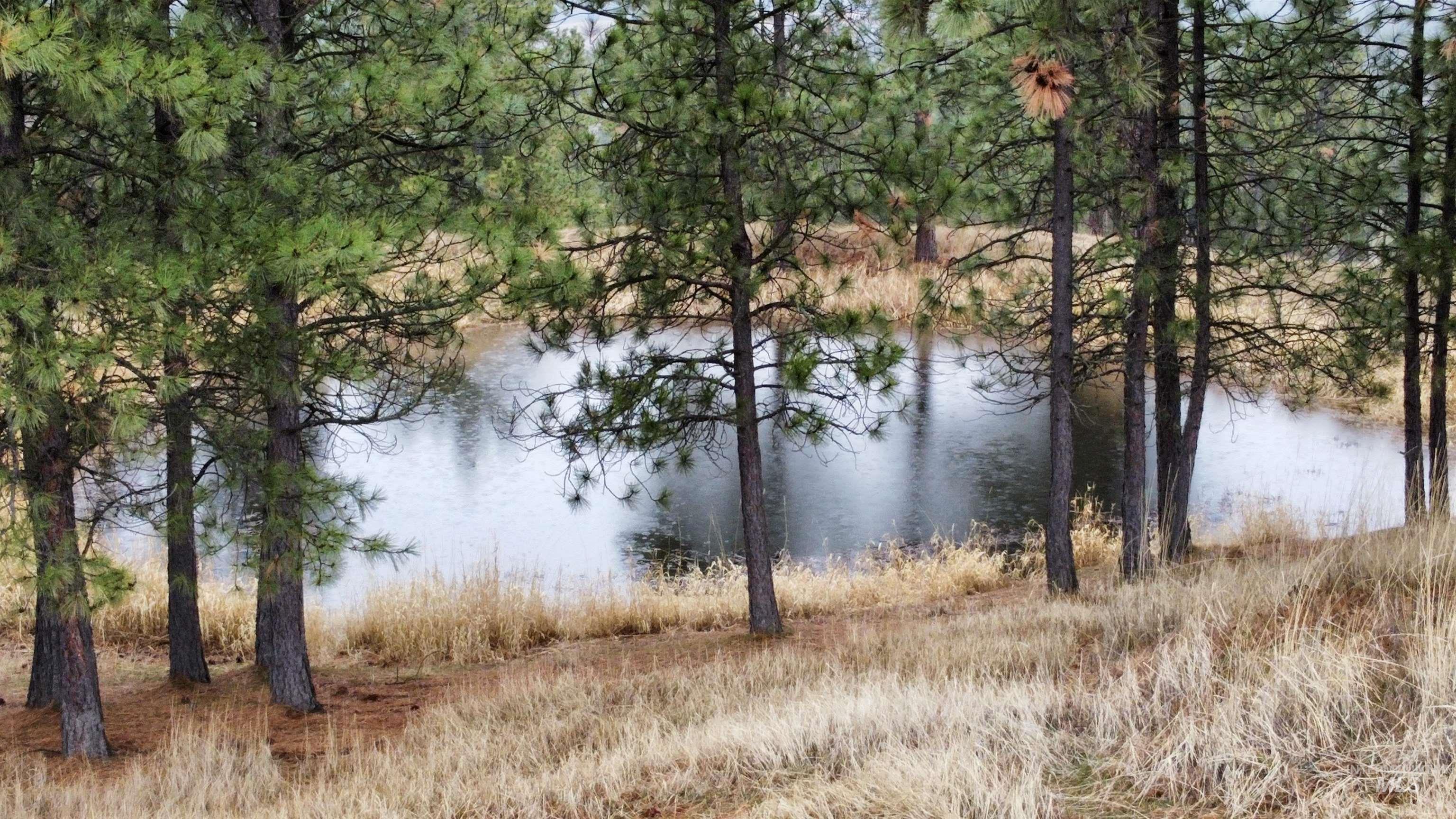 1050 Tukta Way, Princeton, Idaho 83857, Land For Sale, Price $165,000,MLS 98975665