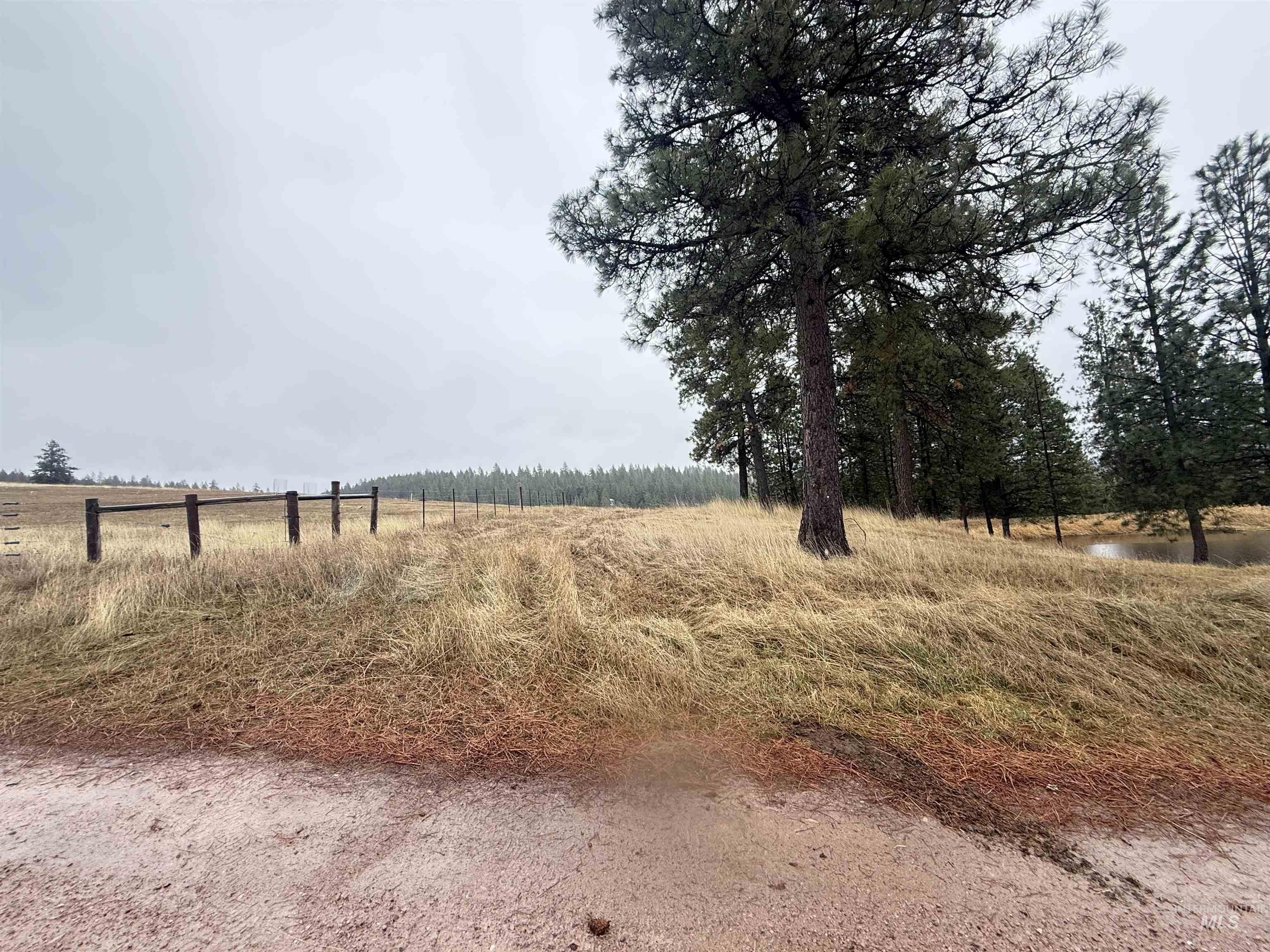 1050 Tukta Way, Princeton, Idaho 83857, Land For Sale, Price $165,000,MLS 98975665