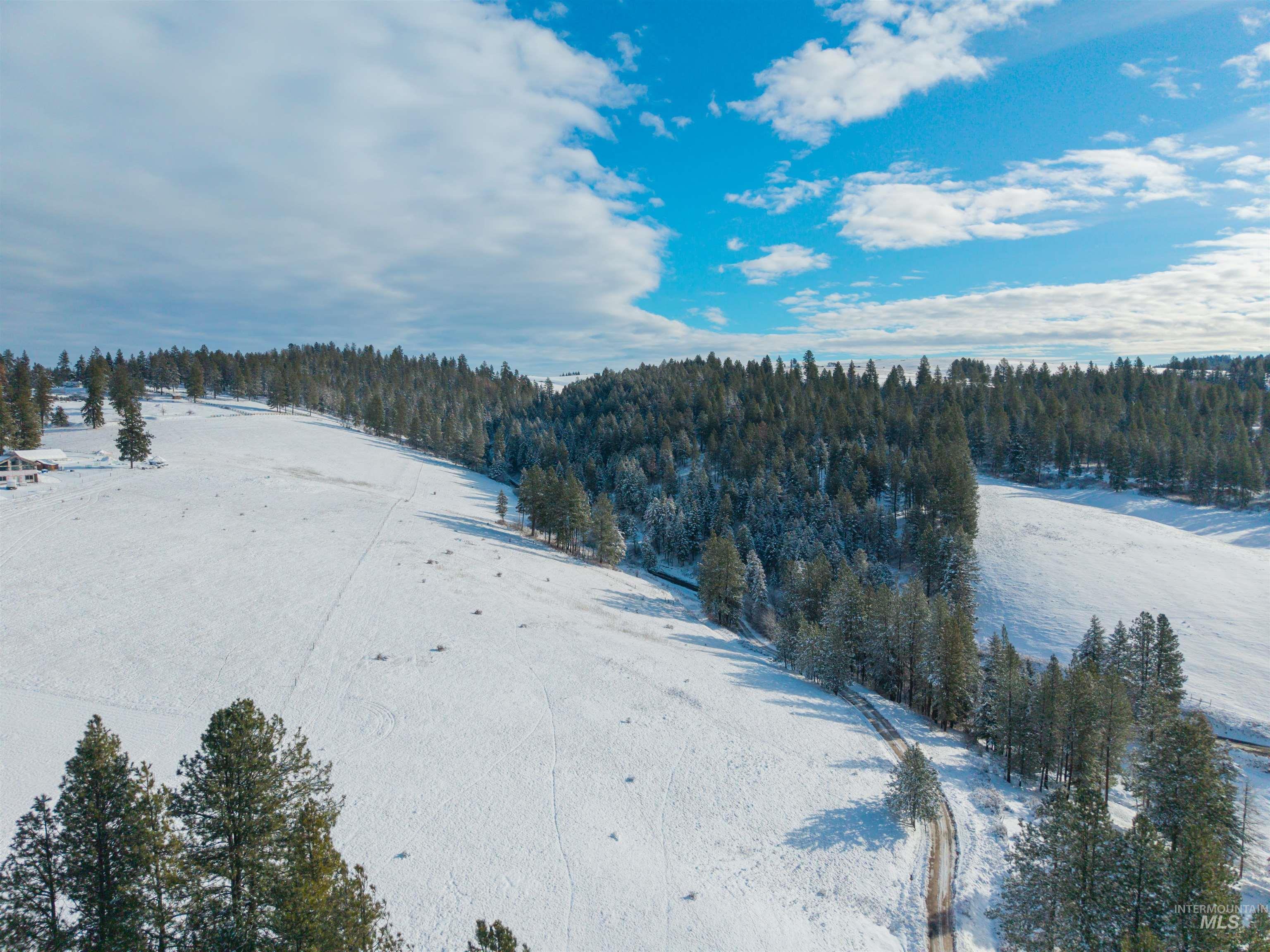 1050 Tukta Way, Princeton, Idaho 83857, Land For Sale, Price $165,000,MLS 98975665