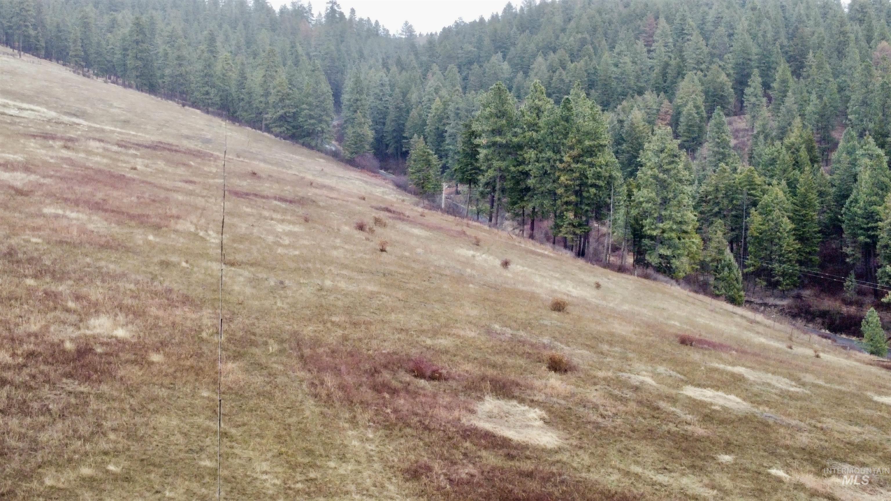 1050 Tukta Way, Princeton, Idaho 83857, Land For Sale, Price $165,000,MLS 98975665