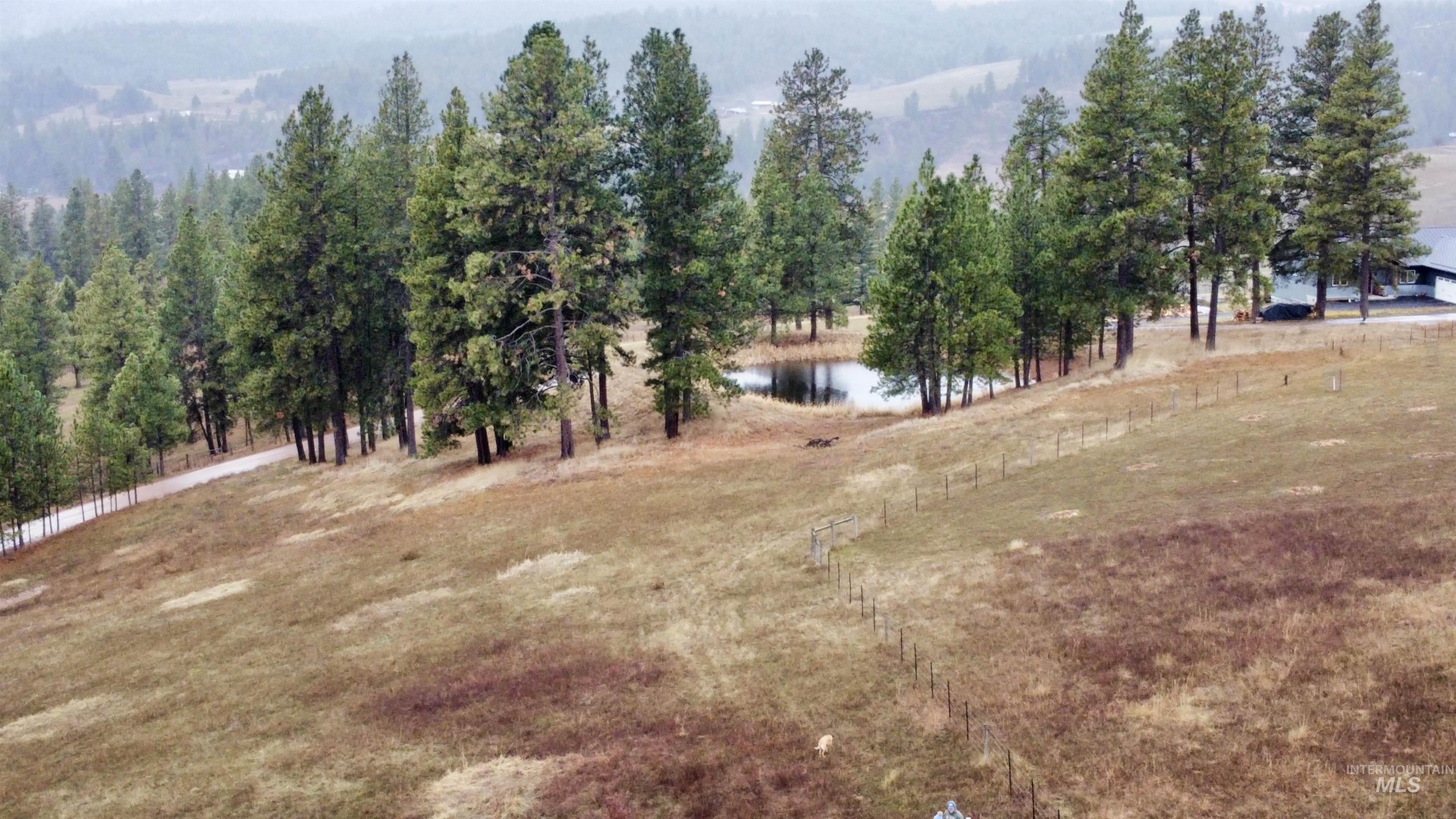 1050 Tukta Way, Princeton, Idaho 83857, Land For Sale, Price $165,000,MLS 98975665