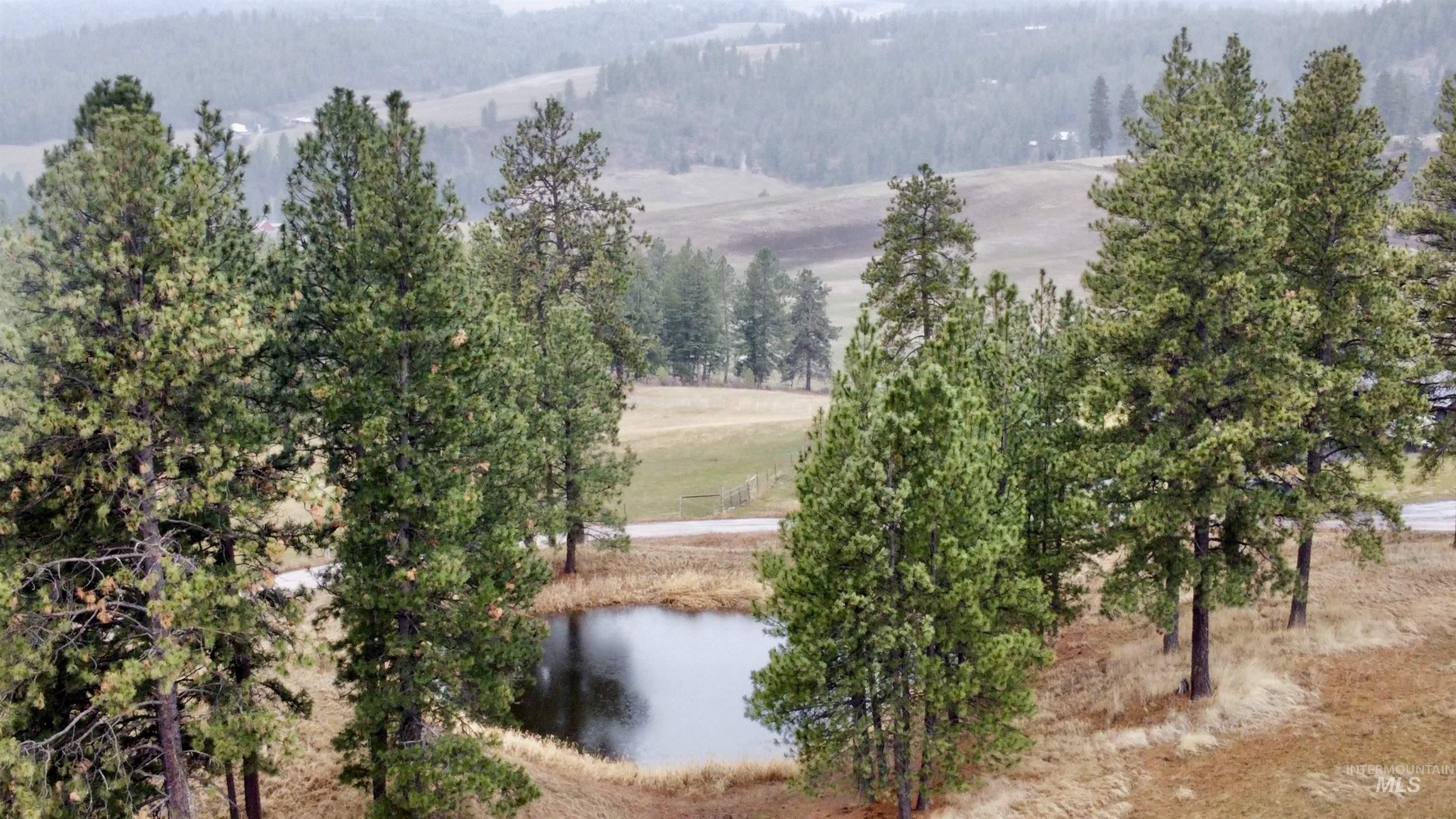 1050 Tukta Way, Princeton, Idaho 83857, Land For Sale, Price $165,000,MLS 98975665