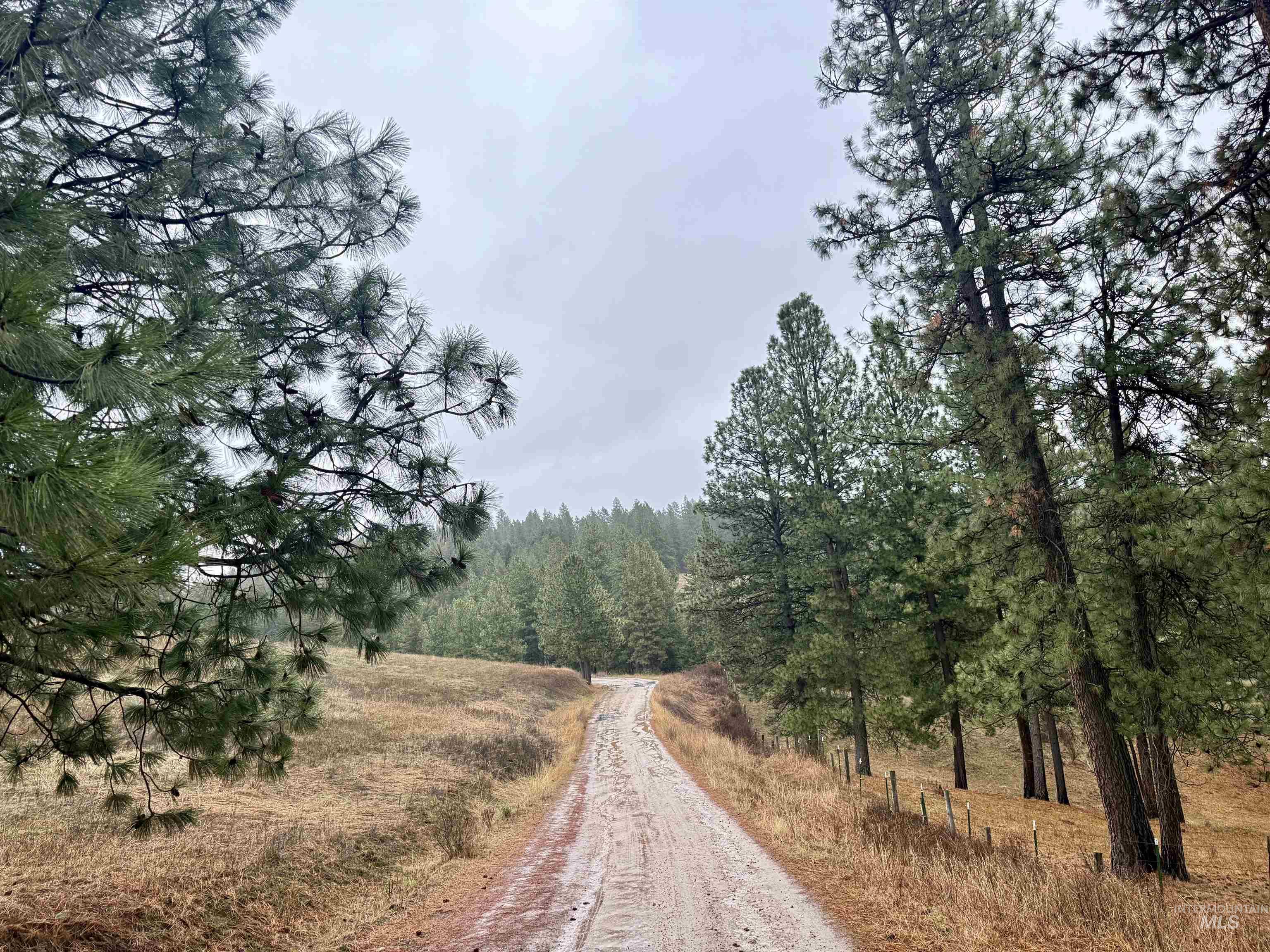 1050 Tukta Way, Princeton, Idaho 83857, Land For Sale, Price $165,000,MLS 98975665