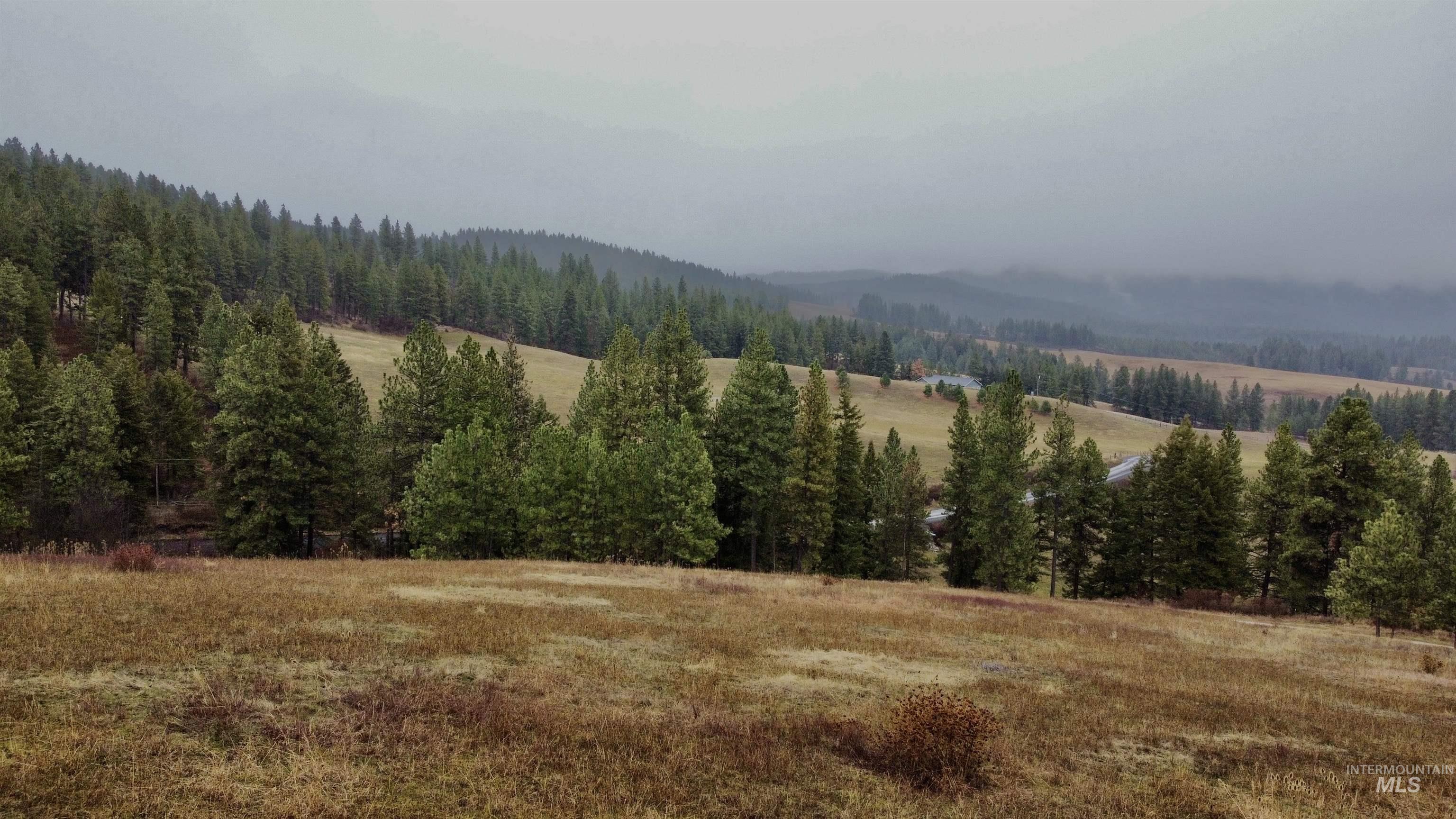 1050 Tukta Way, Princeton, Idaho 83857, Land For Sale, Price $165,000,MLS 98975665