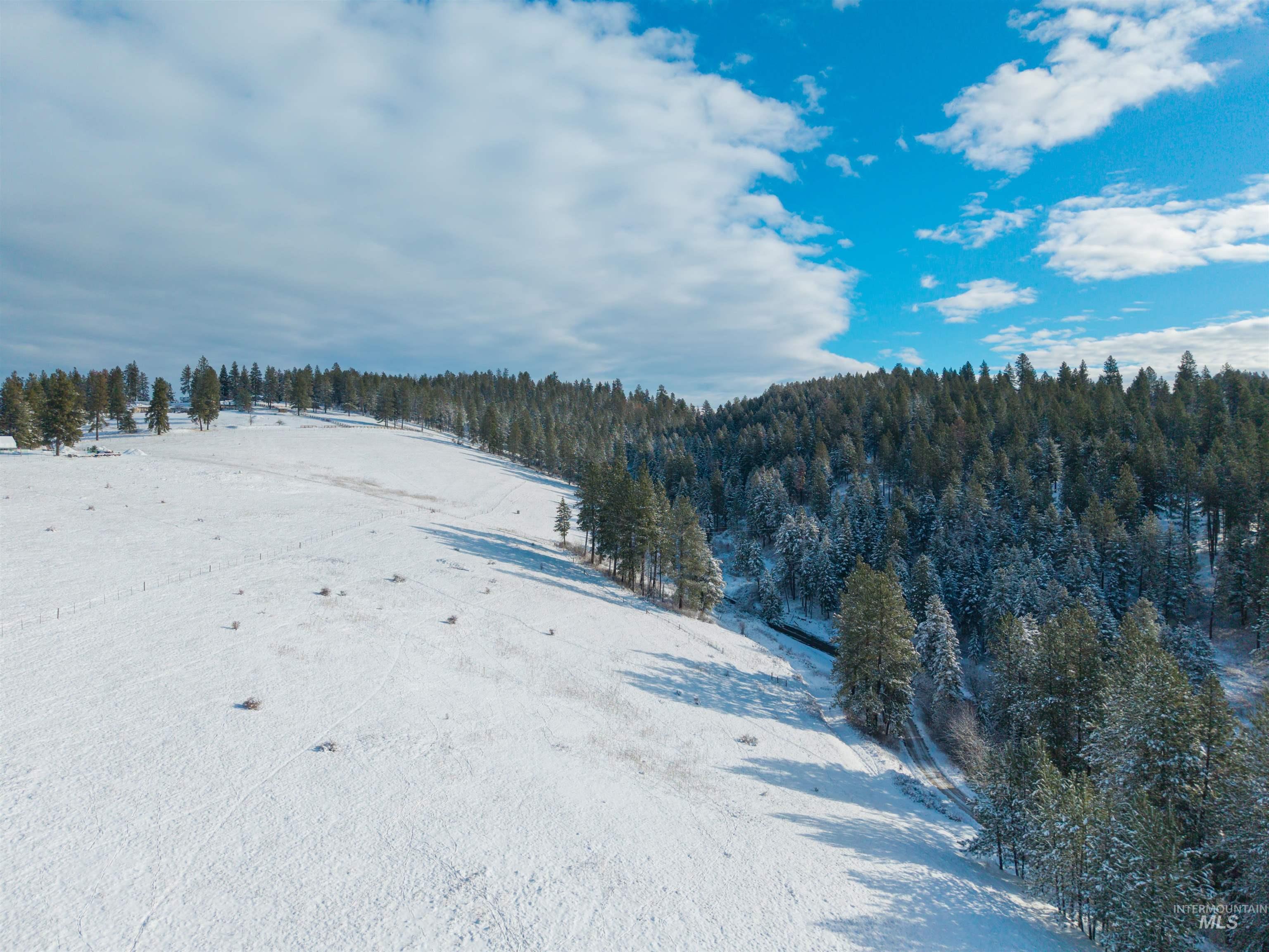 1050 Tukta Way, Princeton, Idaho 83857, Land For Sale, Price $165,000,MLS 98975665