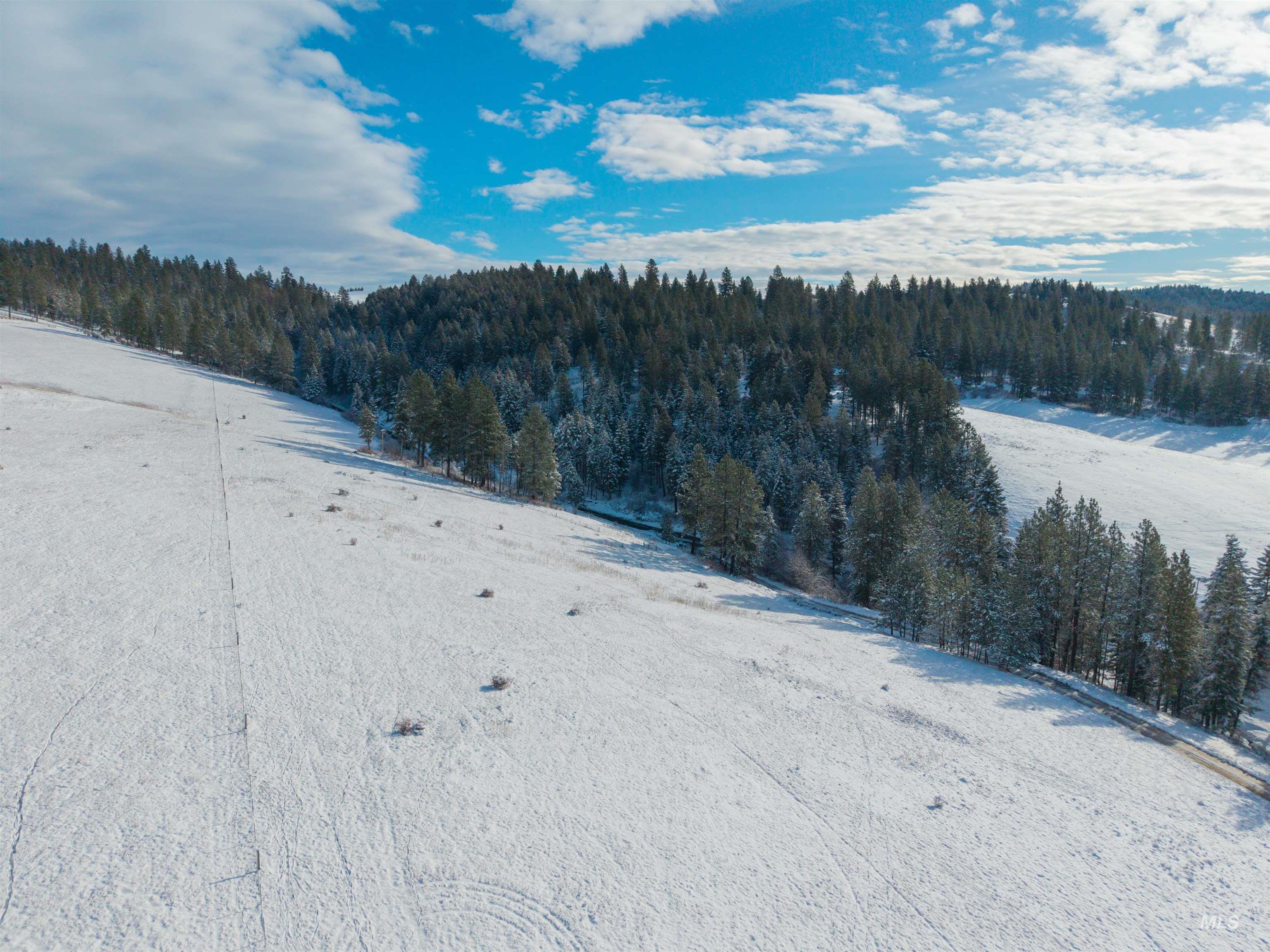 1050 Tukta Way, Princeton, Idaho 83857, Land For Sale, Price $165,000,MLS 98975665