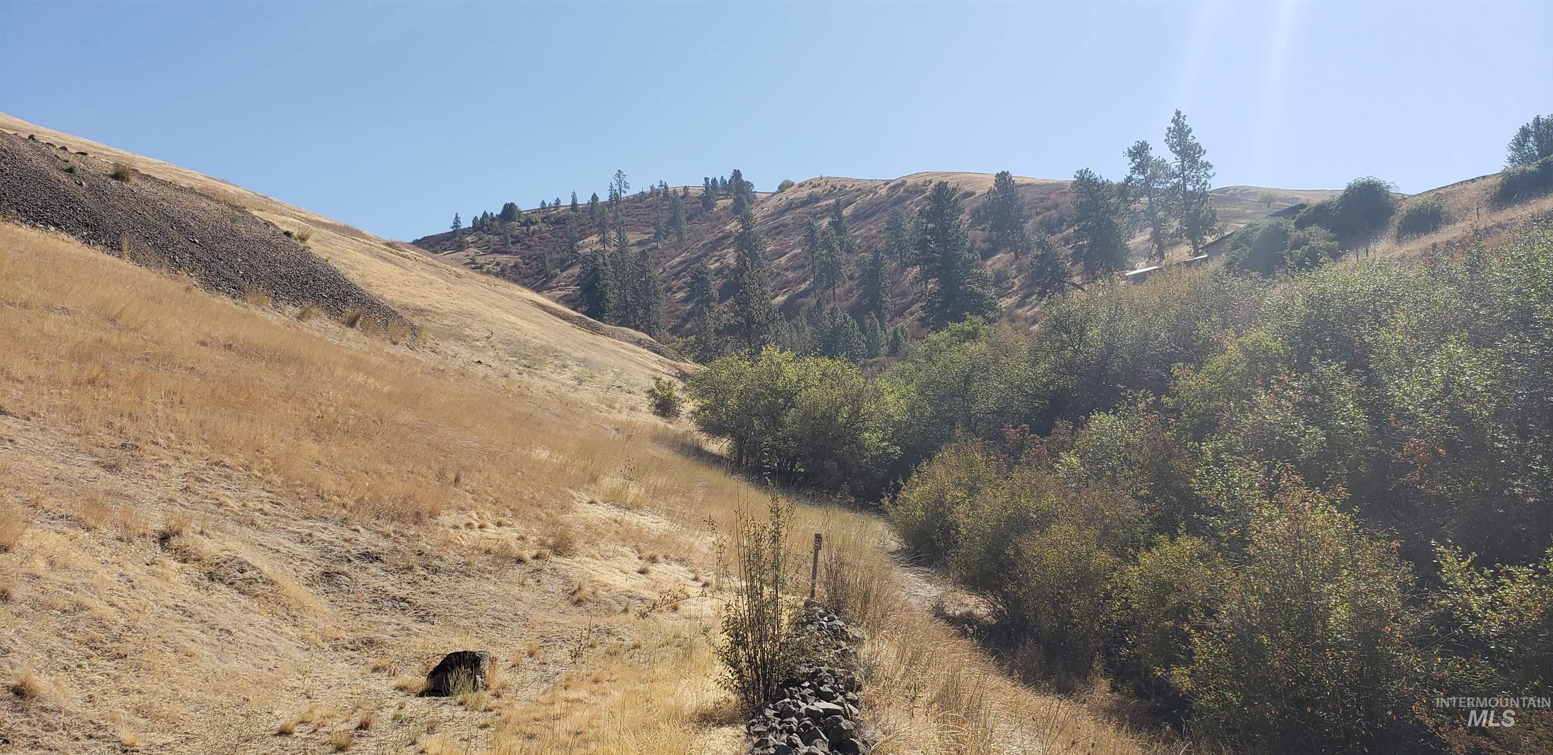 NKA Clearwater Ridge Dr, Juliaetta, Idaho 83535, Land For Sale, Price $489,000,MLS 98975671