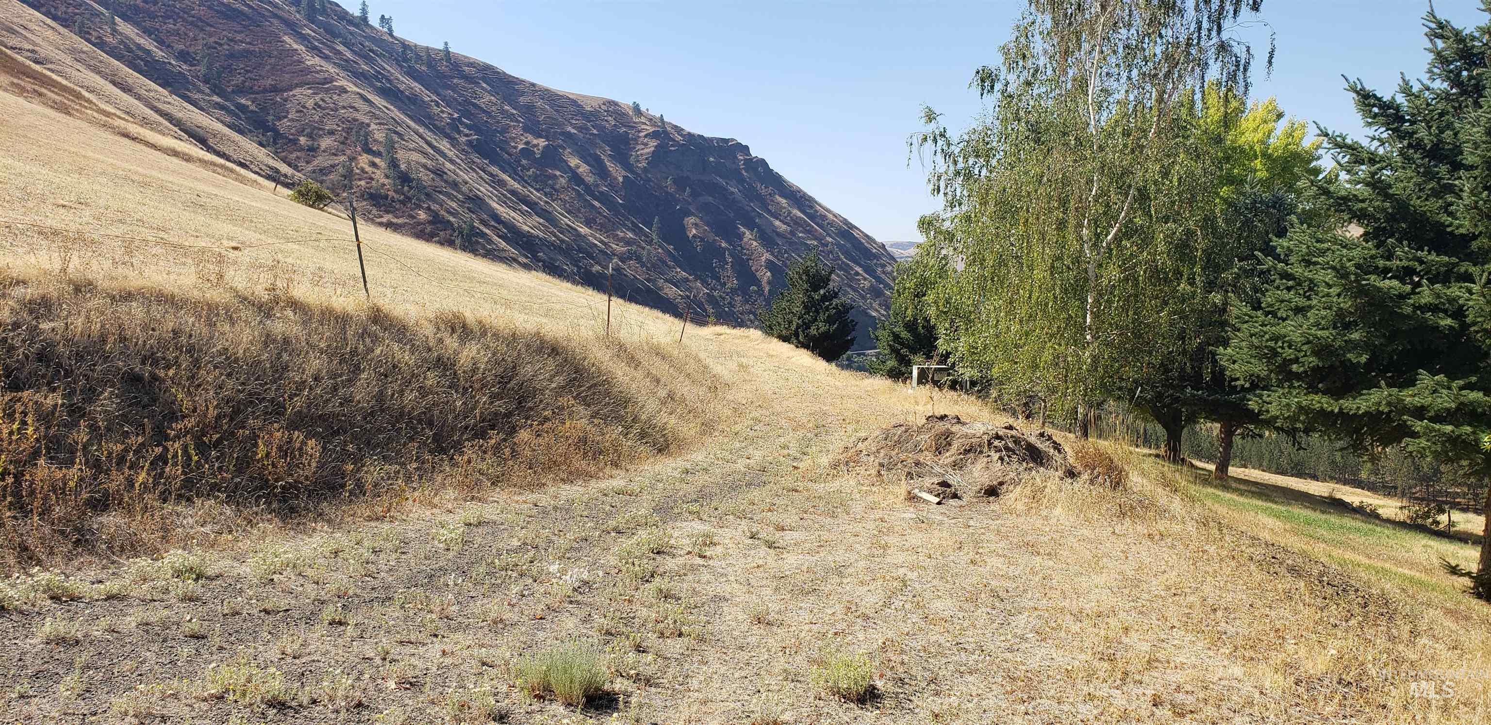 NKA Clearwater Ridge Dr, Juliaetta, Idaho 83535, Land For Sale, Price $489,000,MLS 98975671
