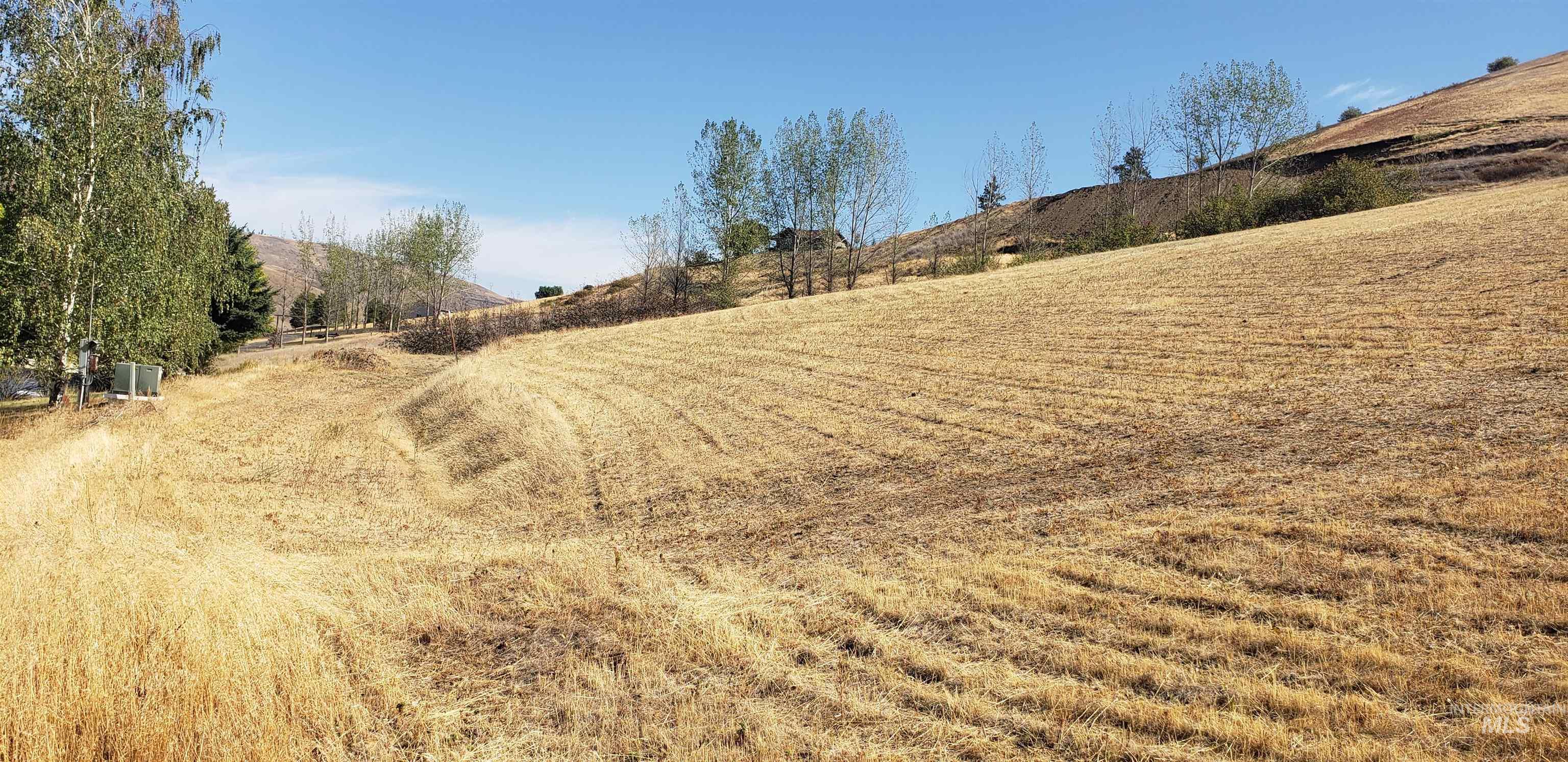 NKA Clearwater Ridge Dr, Juliaetta, Idaho 83535, Land For Sale, Price $489,000,MLS 98975671