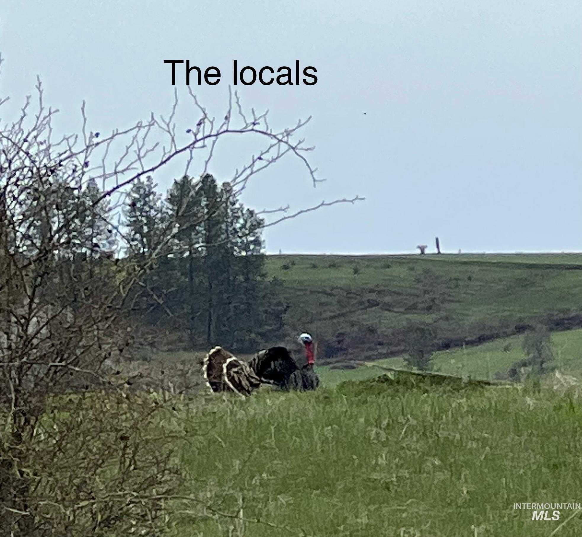 113 Sweetwater Drive, Stites, Idaho 83552, 3 Bedrooms, 2 Bathrooms, Residential For Sale, Price $545,000,MLS 98975672