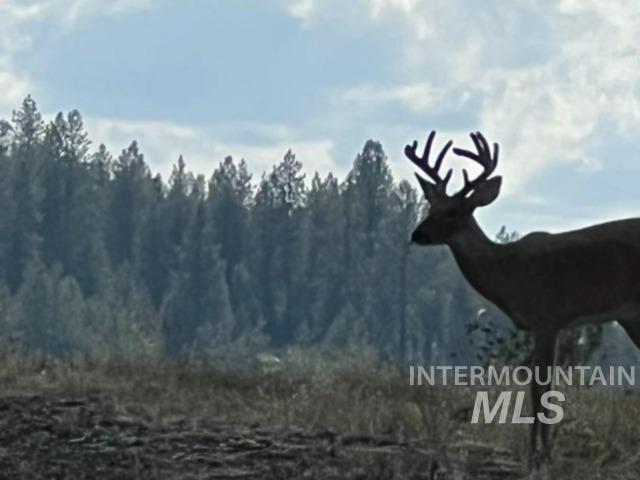 113 Sweetwater Drive, Stites, Idaho 83552, 3 Bedrooms, 2 Bathrooms, Residential For Sale, Price $545,000,MLS 98975672