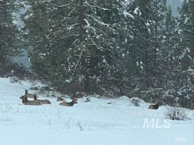 113 Sweetwater Drive, Stites, Idaho 83552, 3 Bedrooms, 2 Bathrooms, Residential For Sale, Price $545,000,MLS 98975672