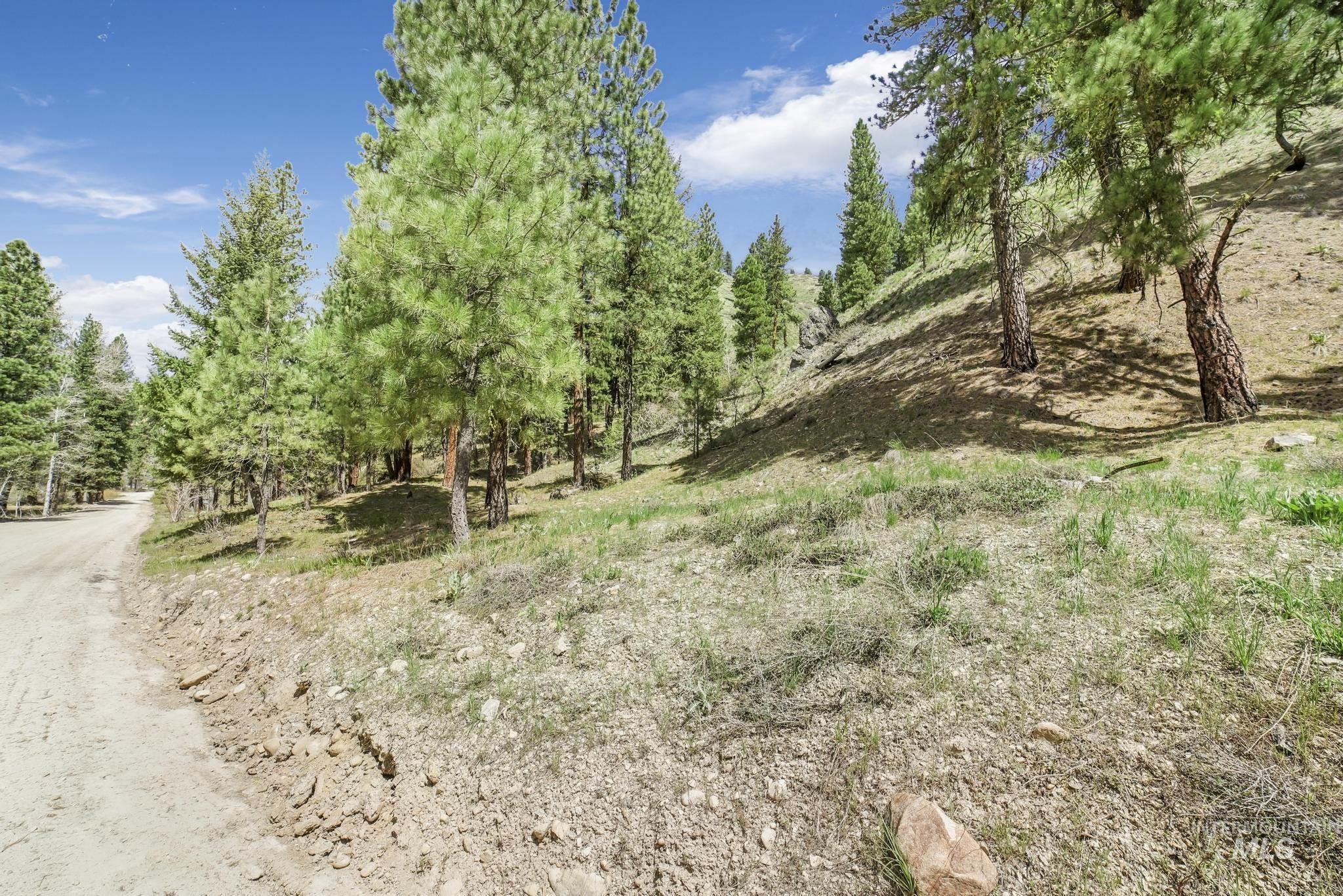 TBD Trinity Creek RD, Featherville, Idaho 83647, Land For Sale, Price $260,000,MLS 98975684
