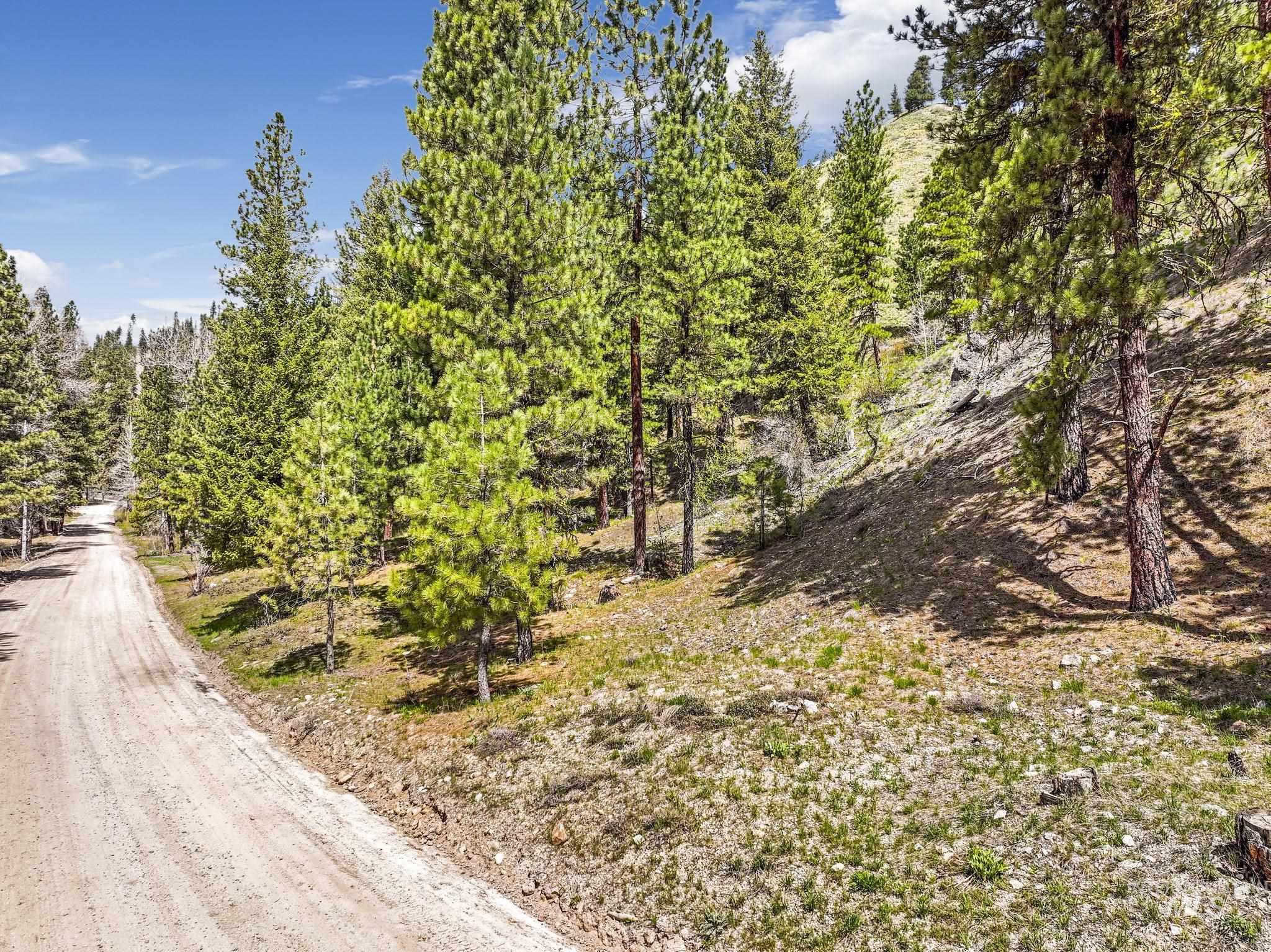 TBD Trinity Creek RD, Featherville, Idaho 83647, Land For Sale, Price $260,000,MLS 98975684